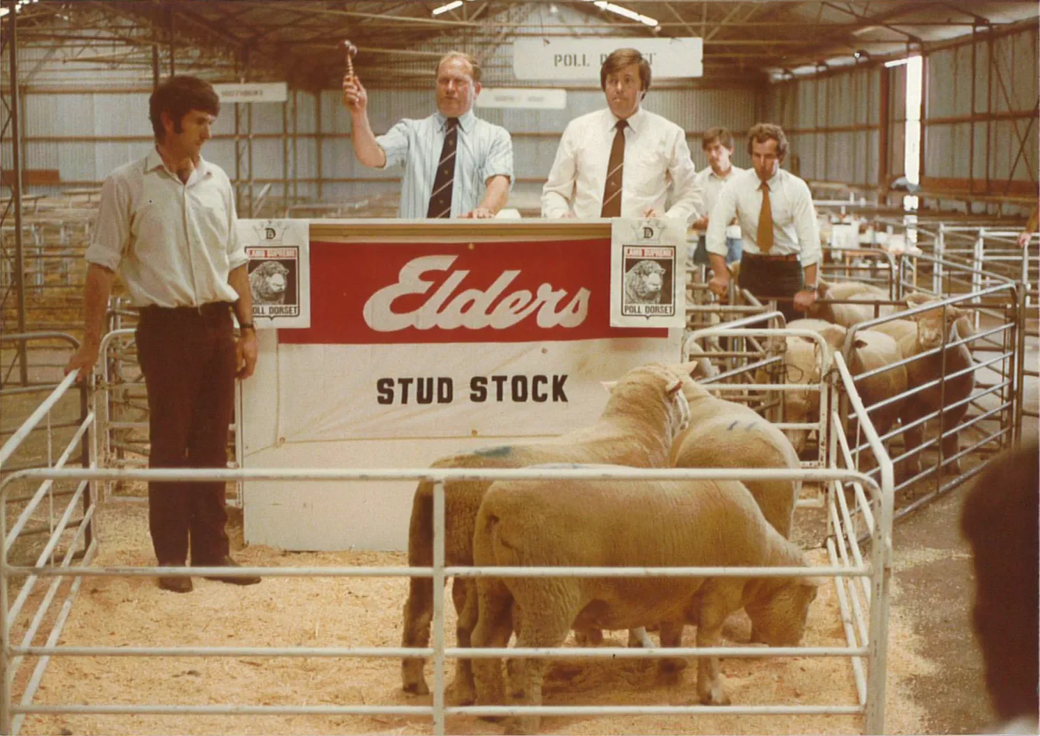 WS_Elders-Stud-Stock-Sale.webp