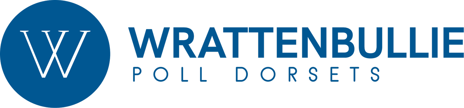 Wrattenbullie Poll Dorsets