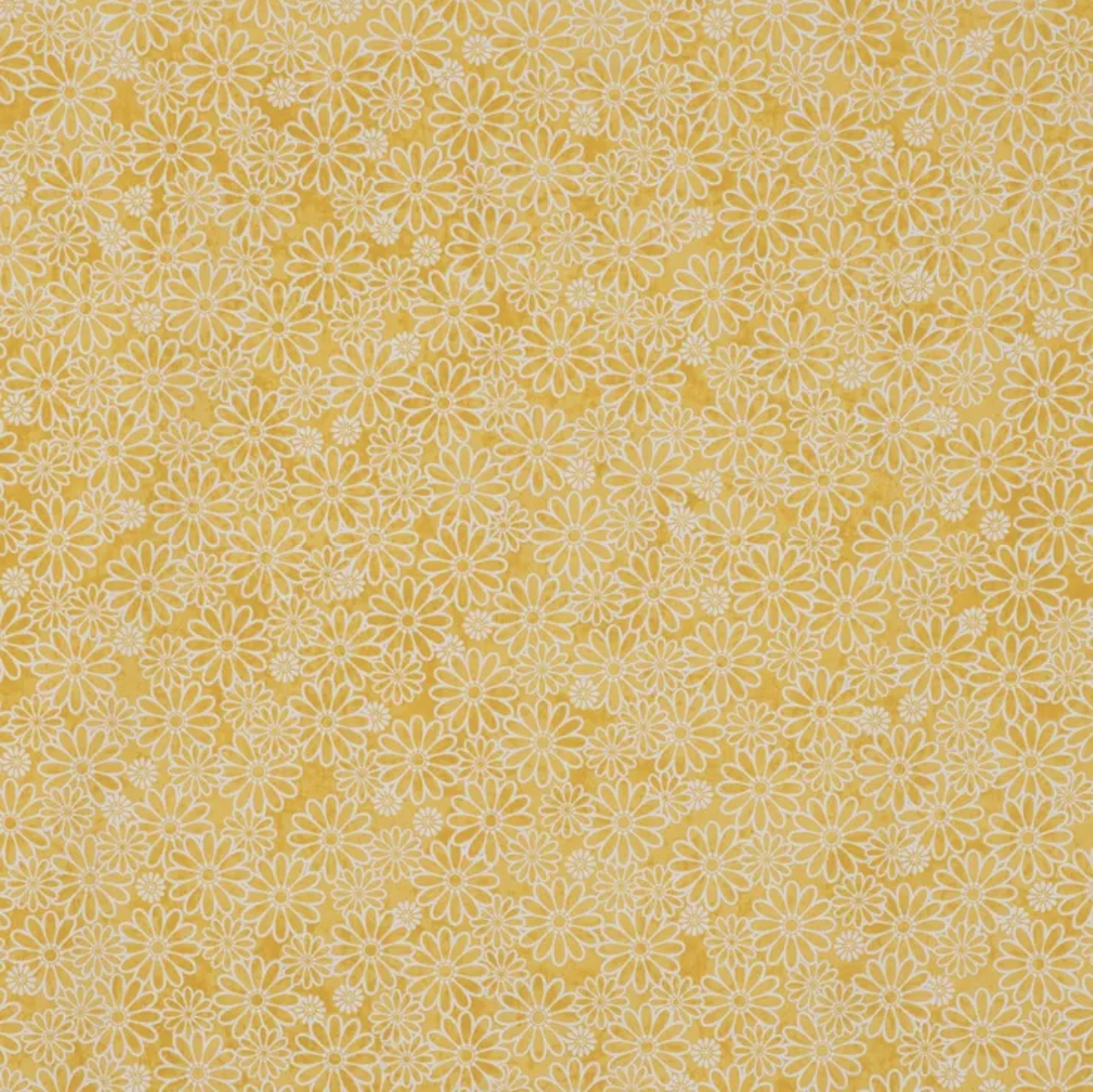 Screenshot 2026-08-06 130444.png