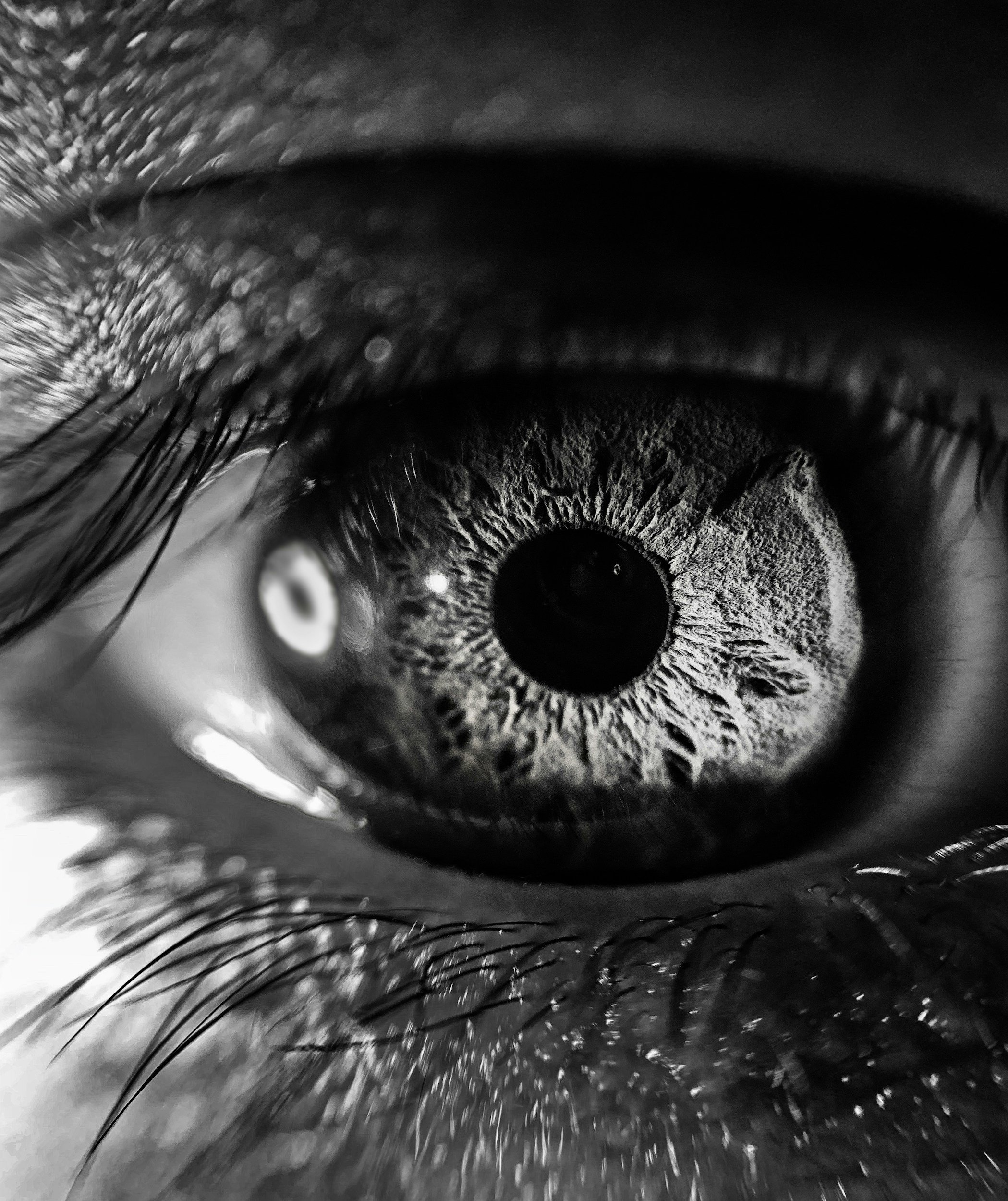 Close-up of a human eye in black and white, showing the iris, pupil, eyelashes, and surrounding eye details.
