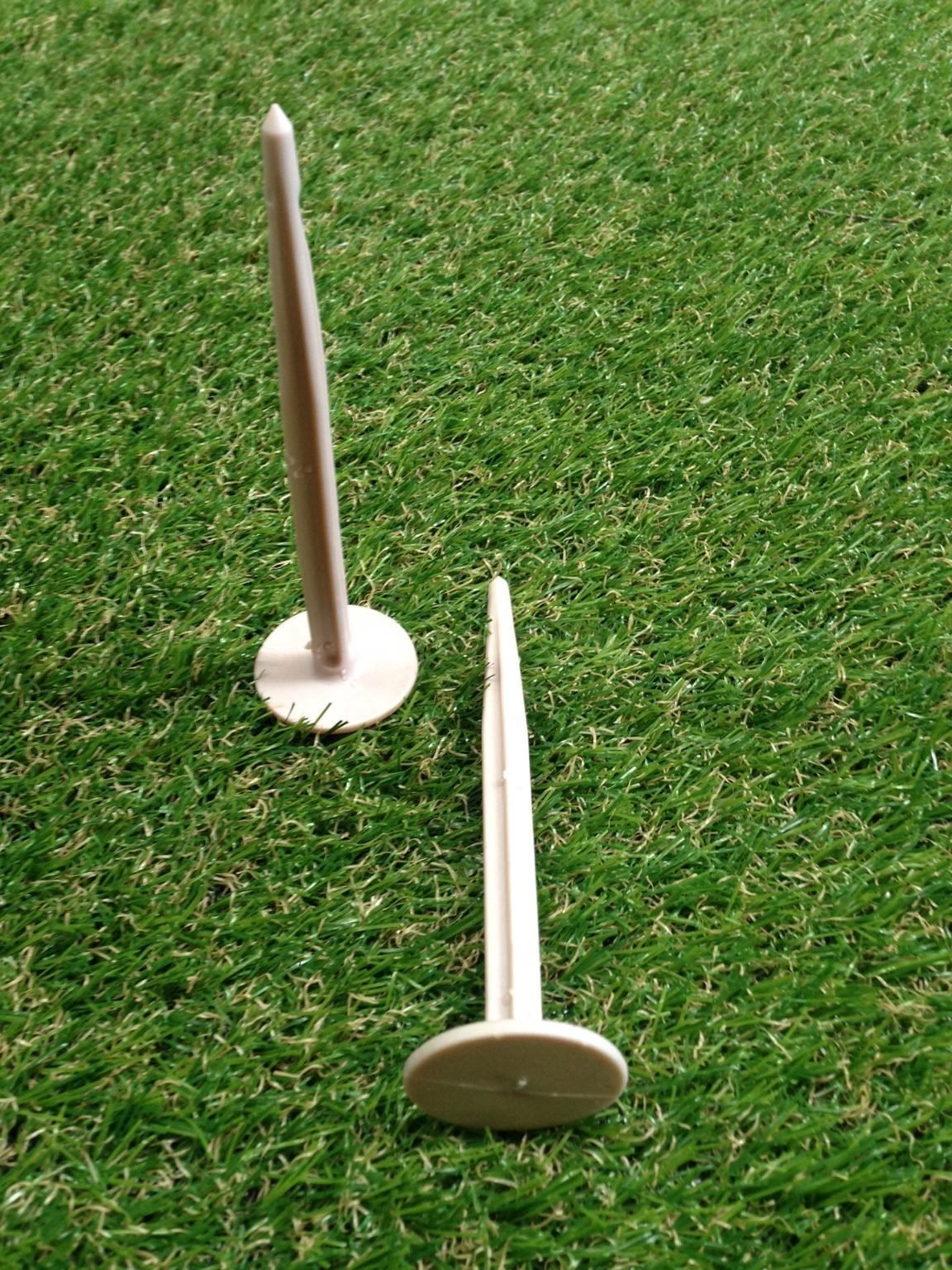 Biodegradable pegs x50