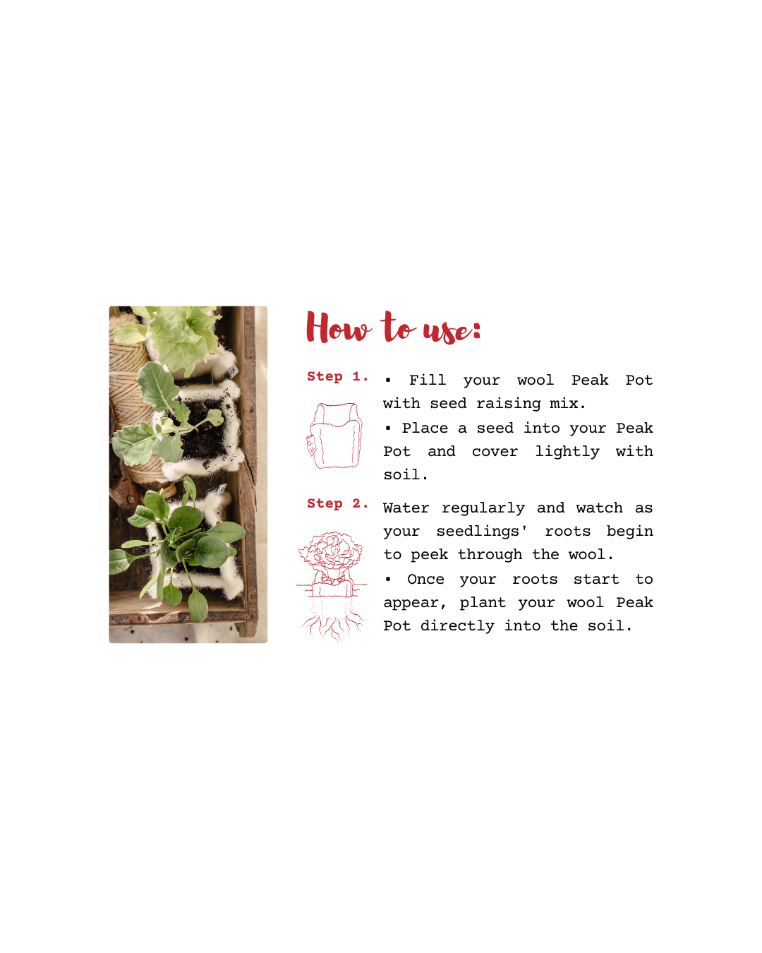 A set of young plants growing in wool Peak Pots with illustrated instructions on how to use them for planting.
