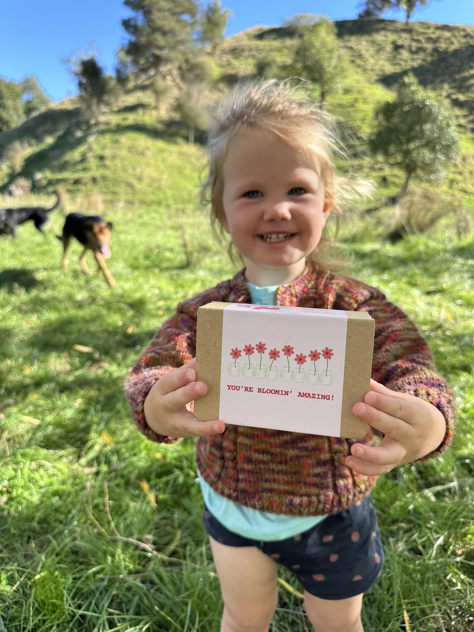 A young girl with blond hair smiling and holding a small cardboard box with a drawing of potted flowers and the text 'You're Bloomin' Amazing!' on the front. She is outdoors on green grass with a hillside and trees in the background, and a dog is vis