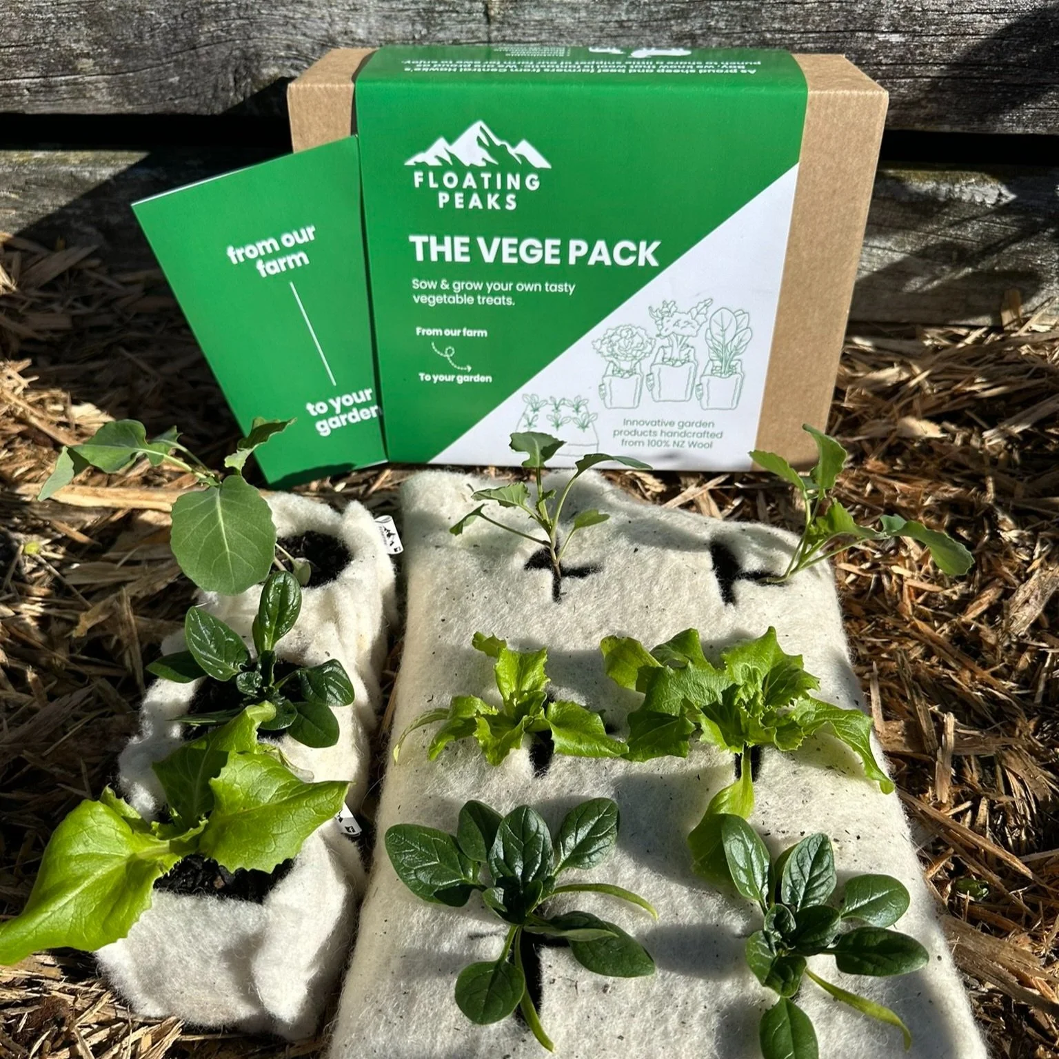 Small plants growing in a white fabric nursery on a bed of wood chips, with a green and brown cardboard box behind them.