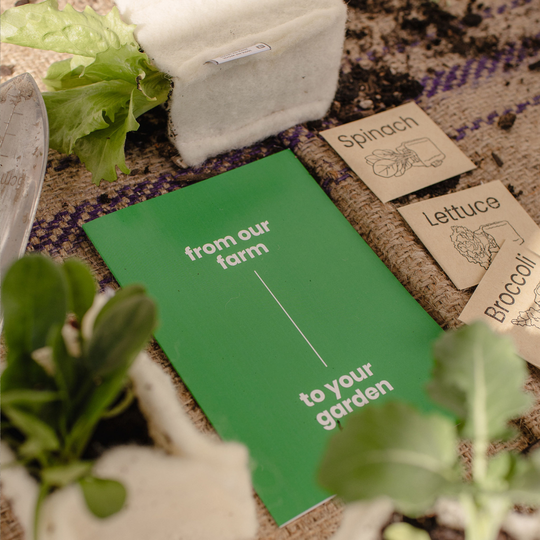 Seedlings and plant labels for spinach, lettuce, and broccoli on a woven surface, with a green sign that reads 'from our farm to your garden.'