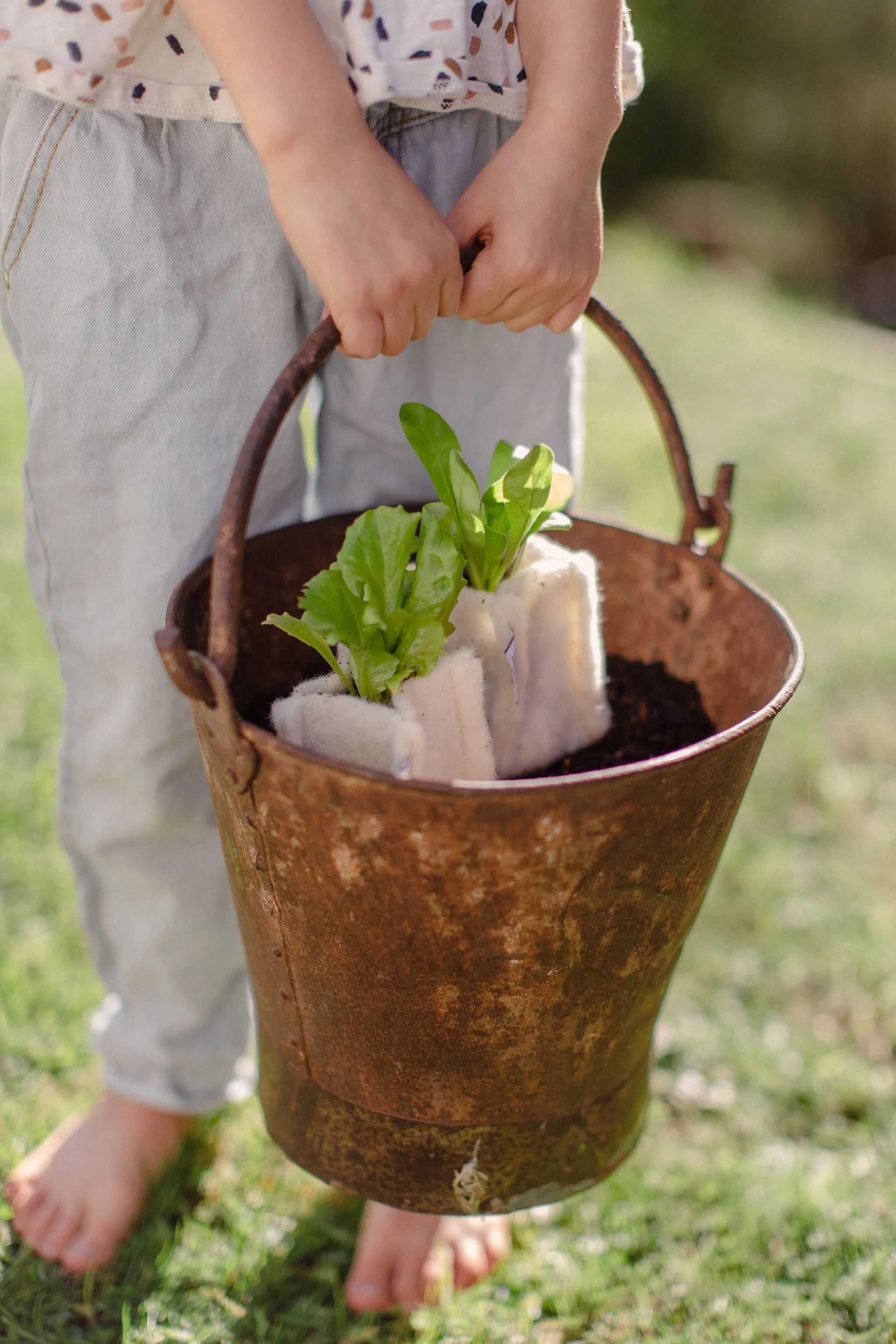 A child barefoot holding a rusty cone-shaped bucket with green plant seedlings inside, standing on grass.