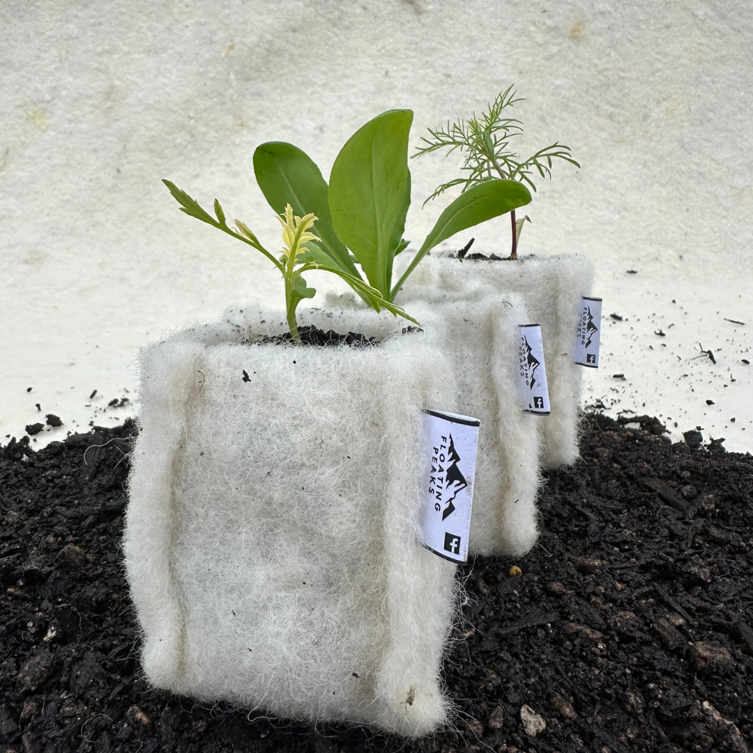 Two seedlings planted in soil, each wrapped in white felt grow bags with tags that say "Folding Peaks" and display a mountain logo and Facebook icon.