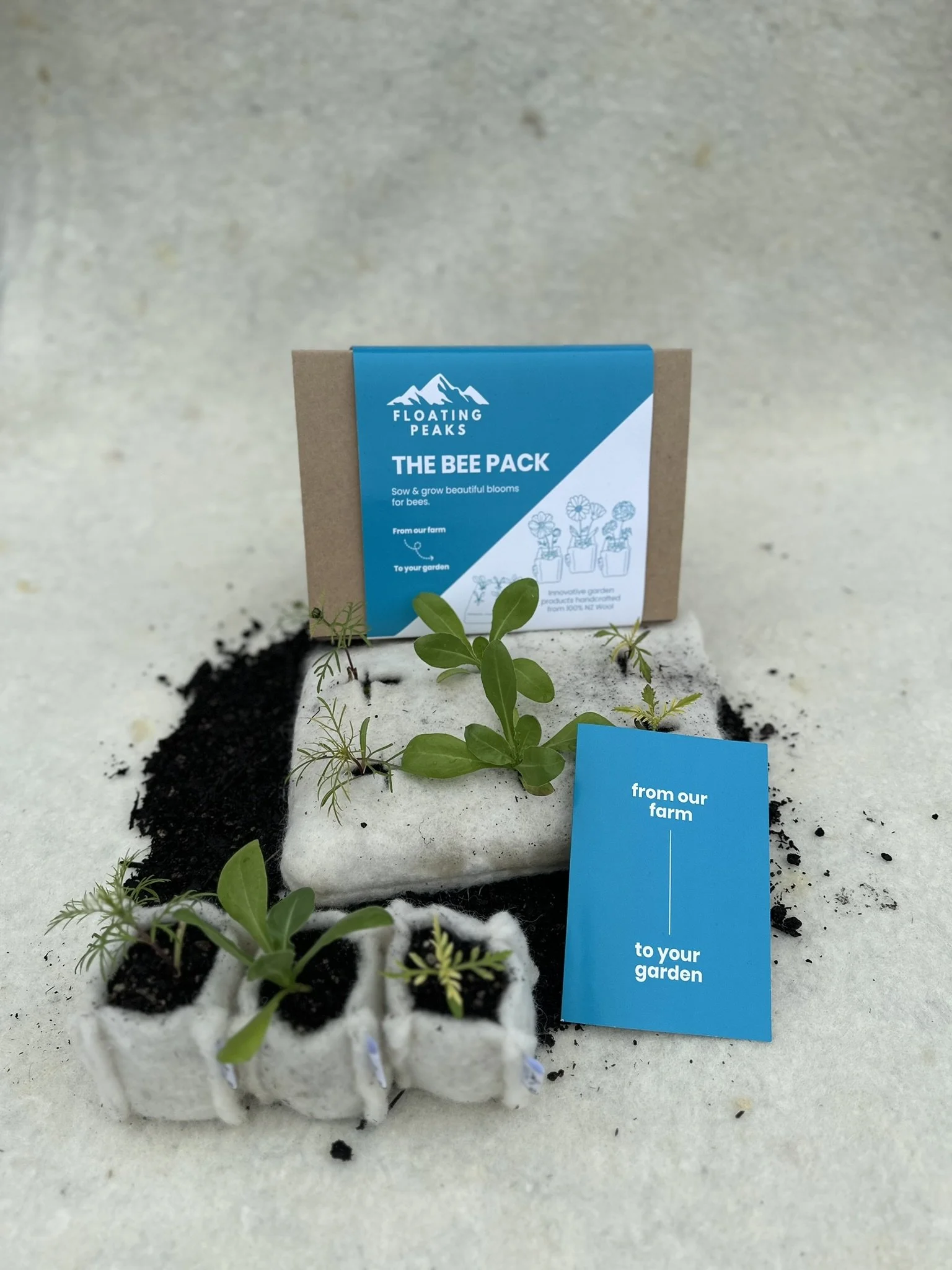 Seedling trays with young plants growing in soil, with 'The Bee Pack' informational card from Floating Peaks that promotes planting blooms for bees, placed on a white surface.