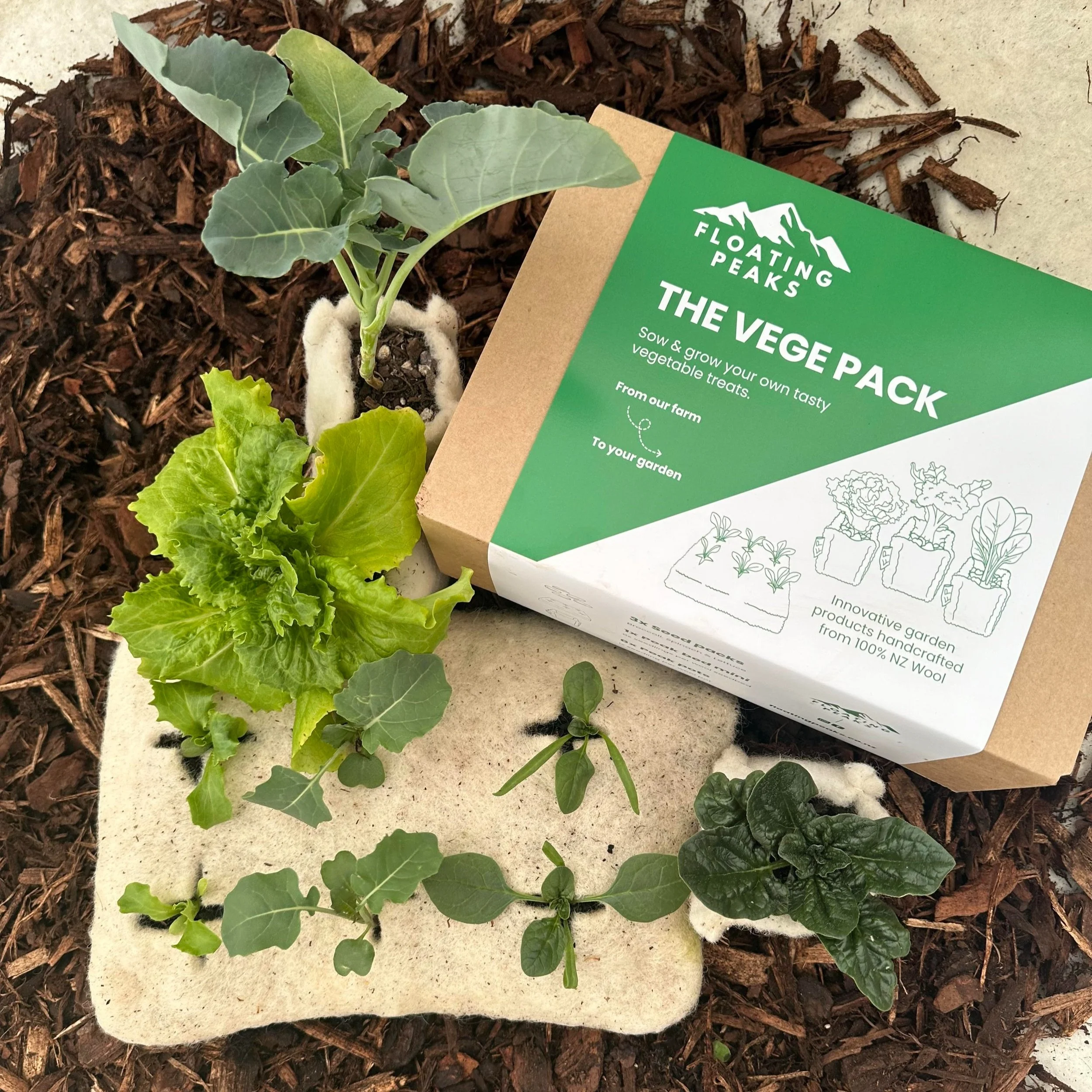 Young vegetable plants, including leafy greens and broccoli, growing in soil with mulch, next to a green and brown plant seed pack from Floating Peaks.