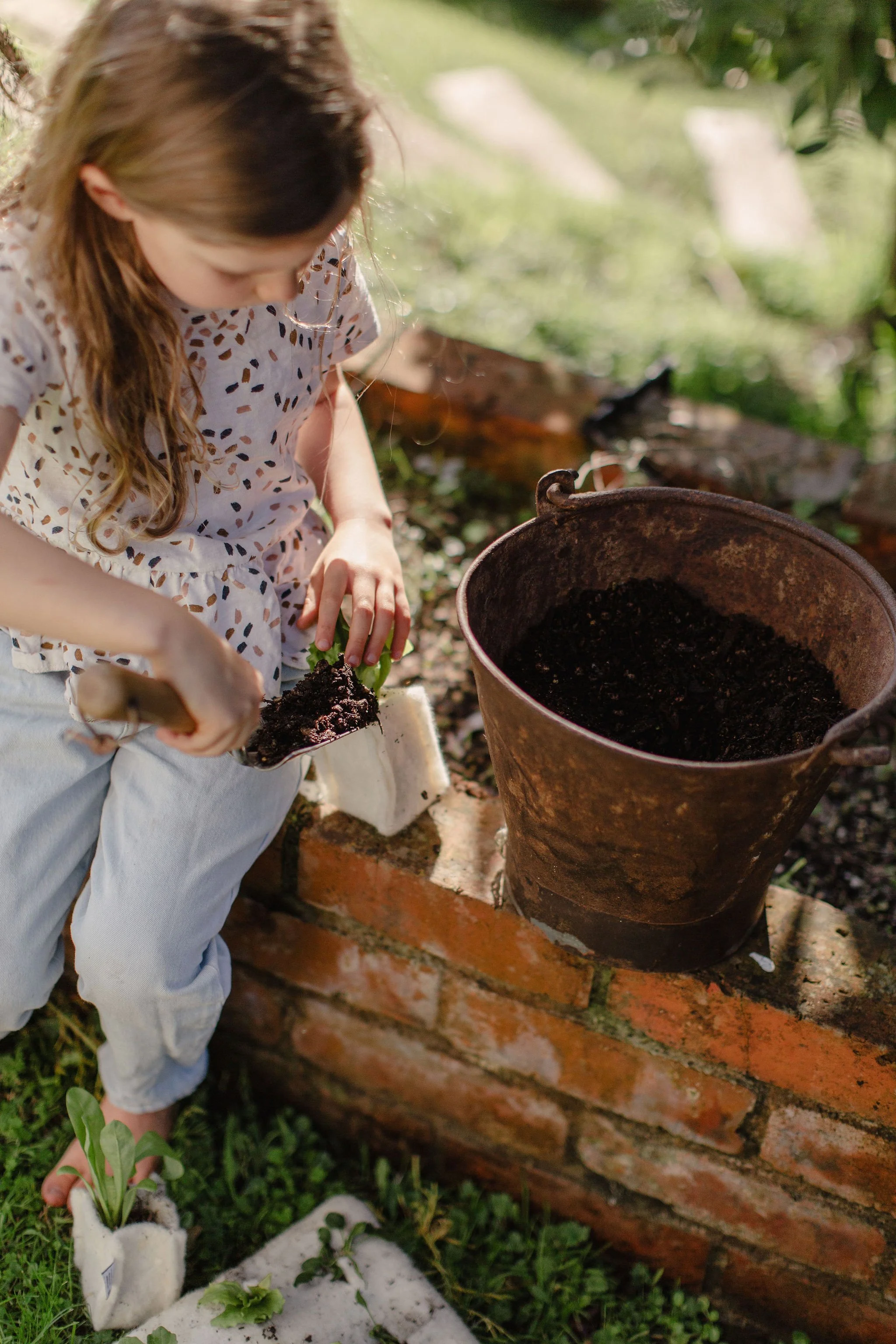A young girl planting seedlings in a garden near a brick wall, with a rusty gardening bucket nearby and small white containers with plants on the ground.