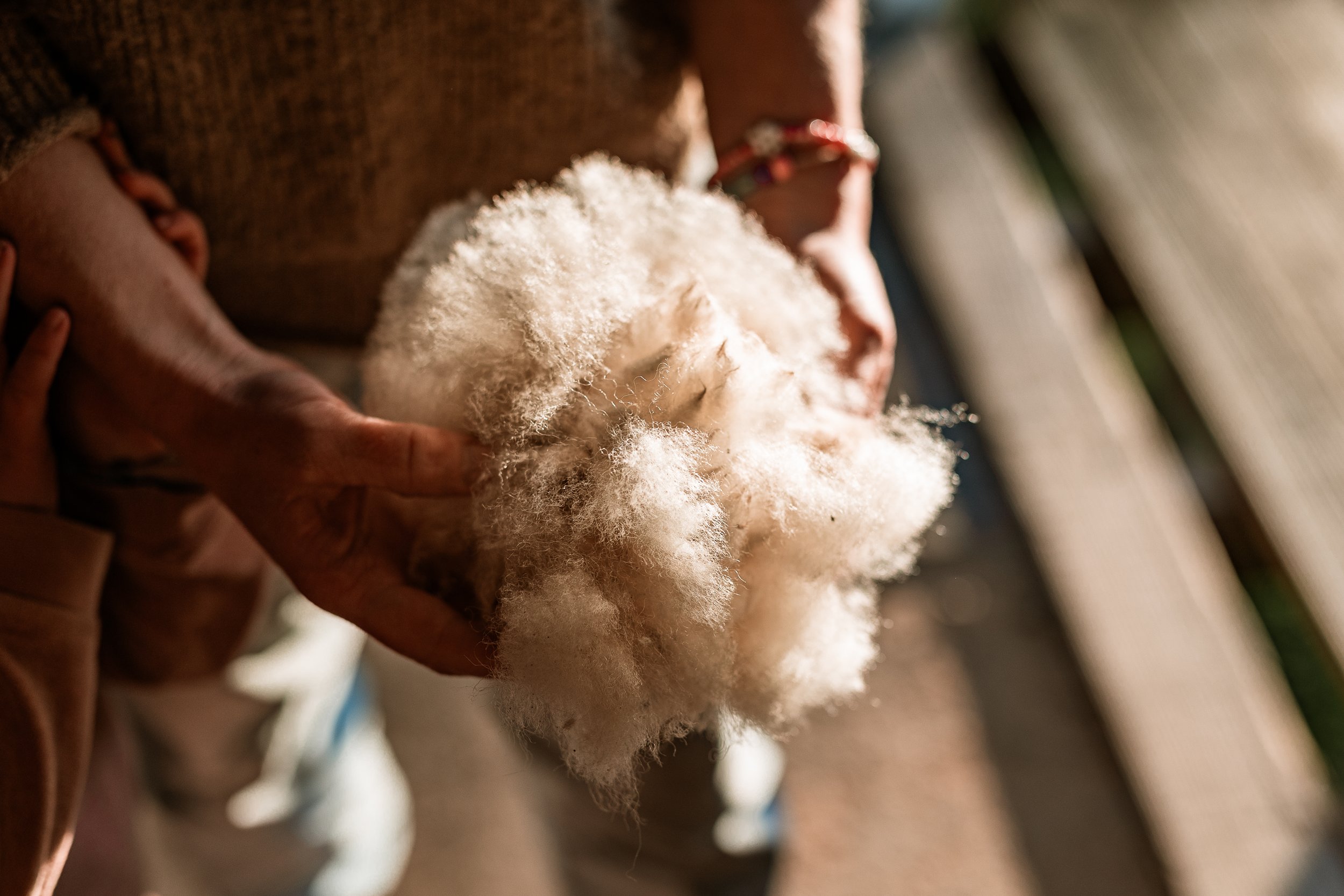 Close-up of a person holding raw wool in their hand.