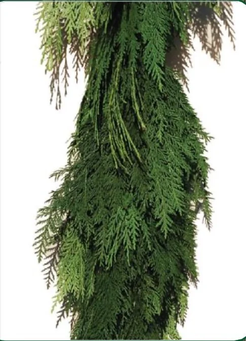 Cedar Garland.jpg