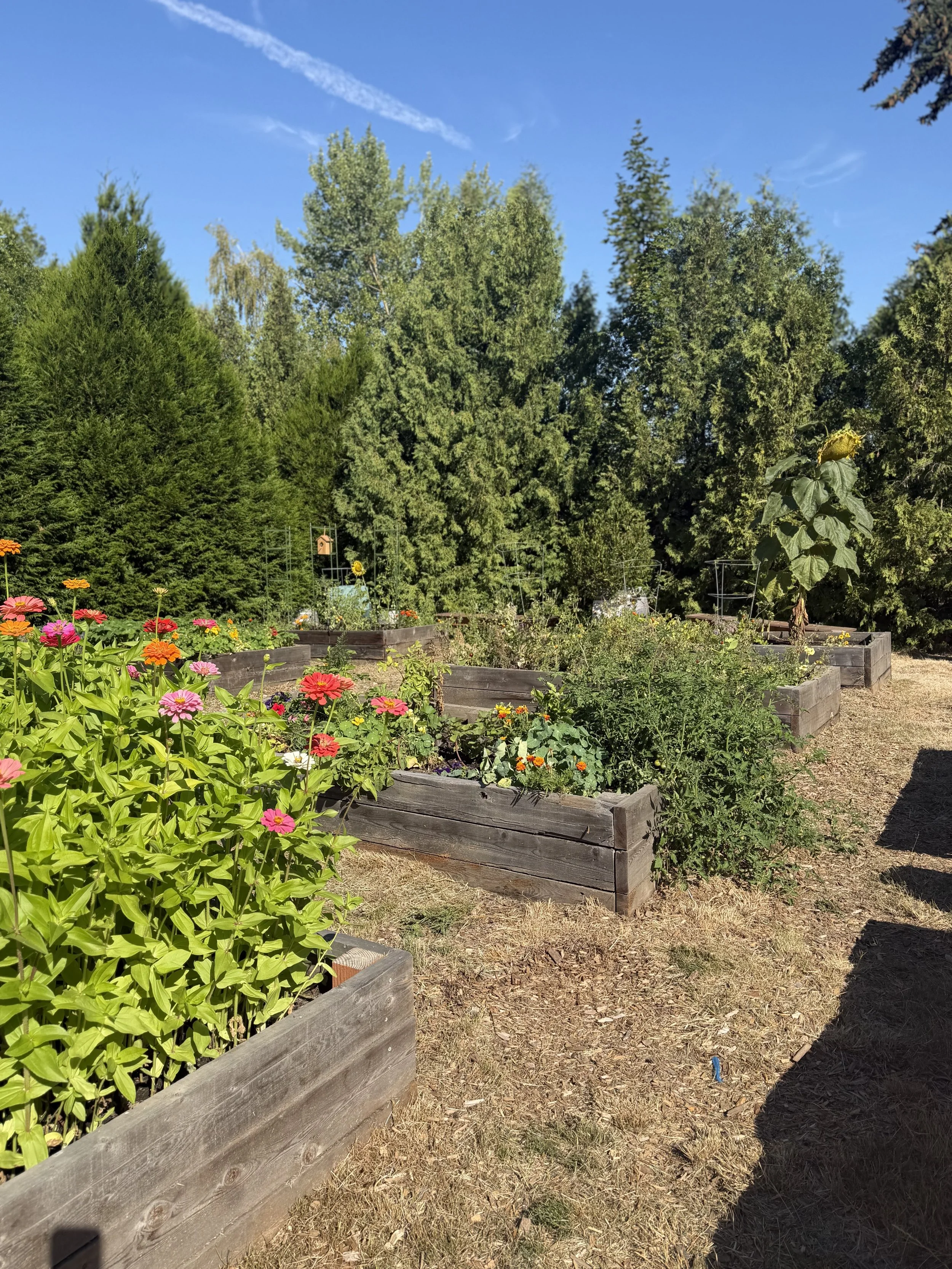 IMG_8666.jpeg