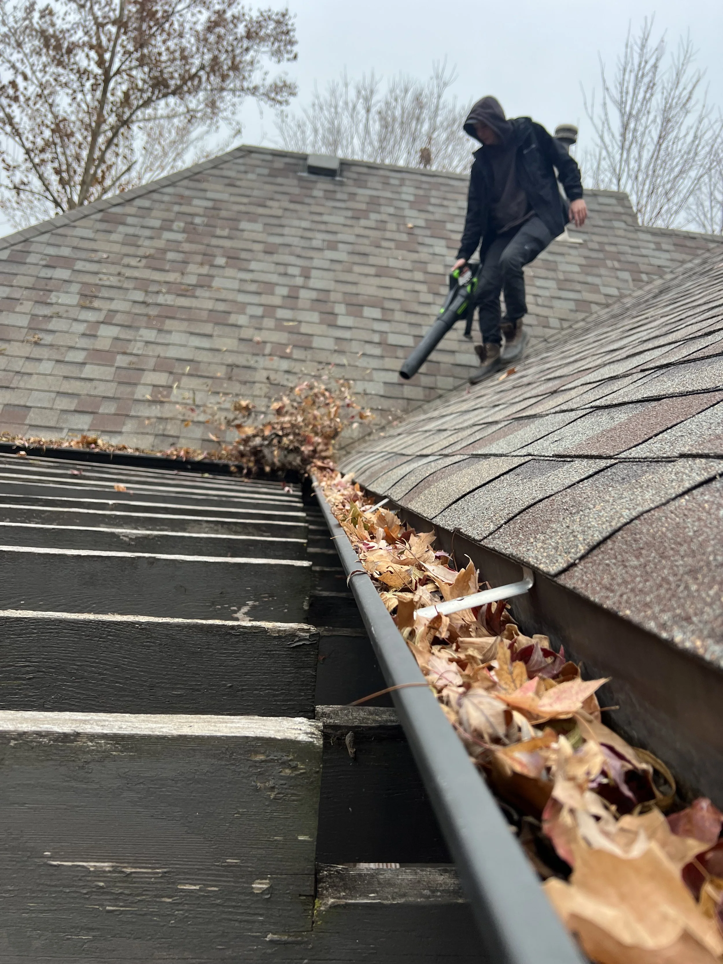 A person in black clothing, including a hood, is using a leaf blower on a roof covered with brown and orange fallen leaves. The roof has gray shingles, and there are trees with autumn foliage in the background.