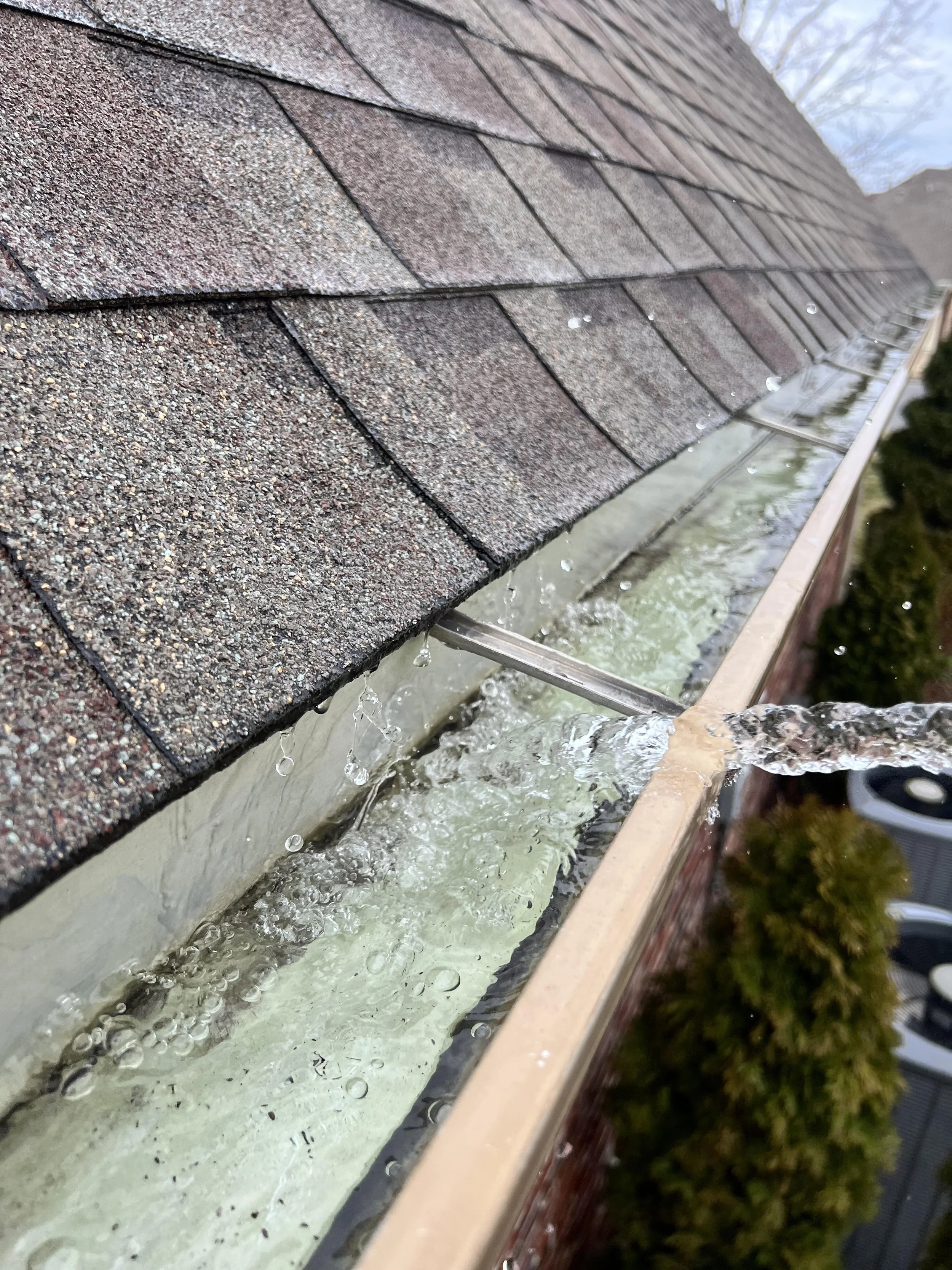 Close-up of a house roof with asphalt shingles and water flowing over a gutter.
