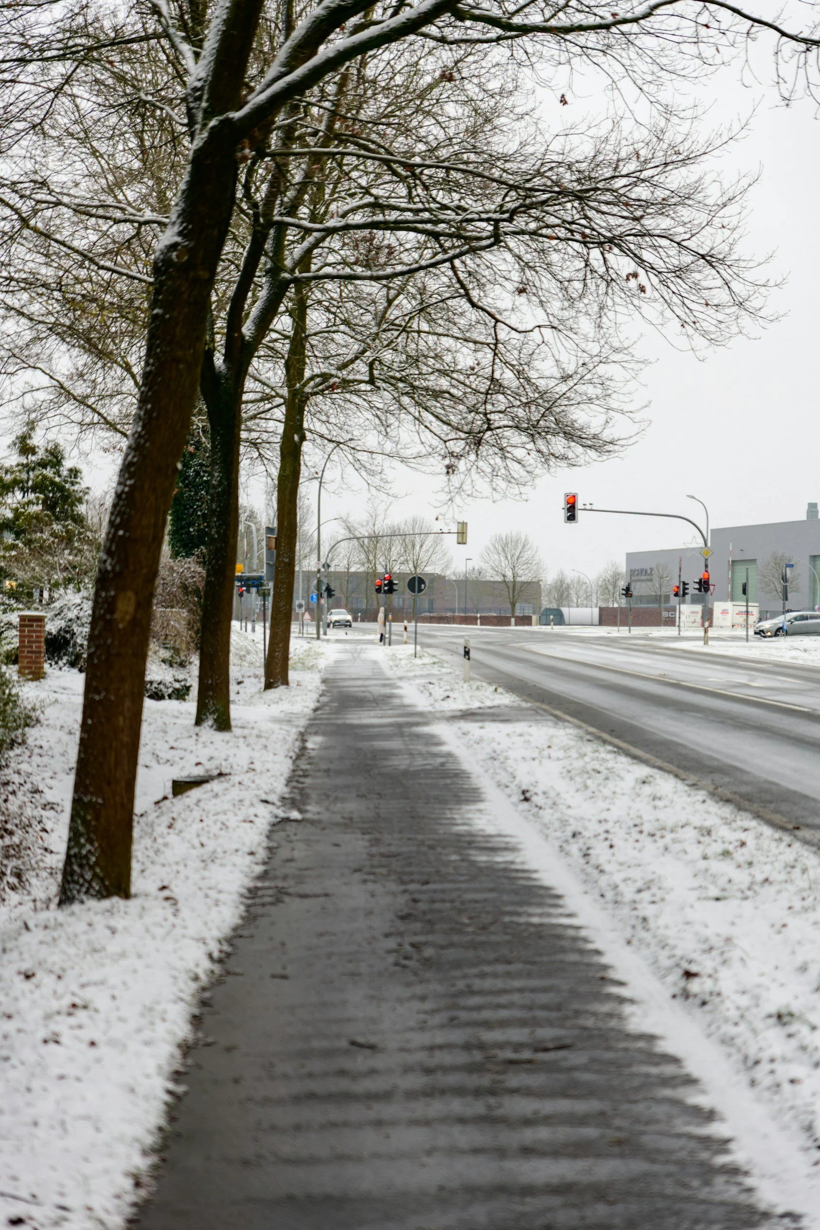 A snowy sidewalk with footprints, lined with leafless trees, and red traffic lights in an urban area.