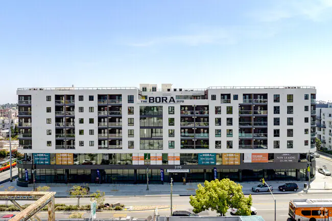 The_Bora_Squarespace.png