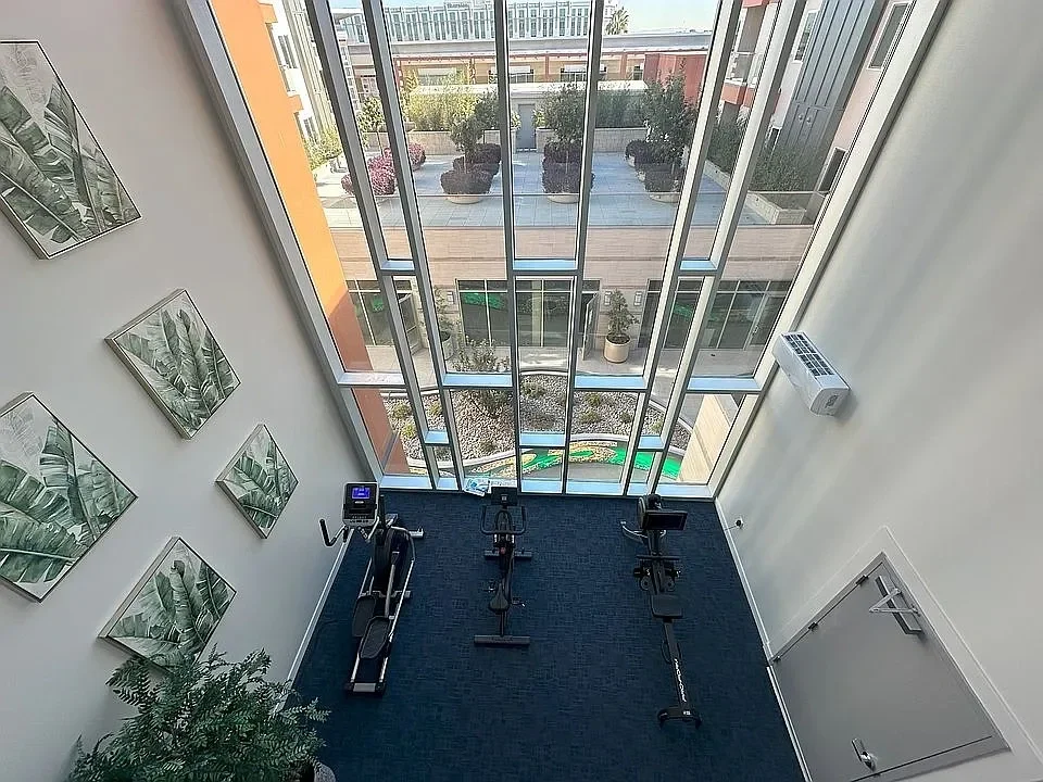the one gym (2).webp