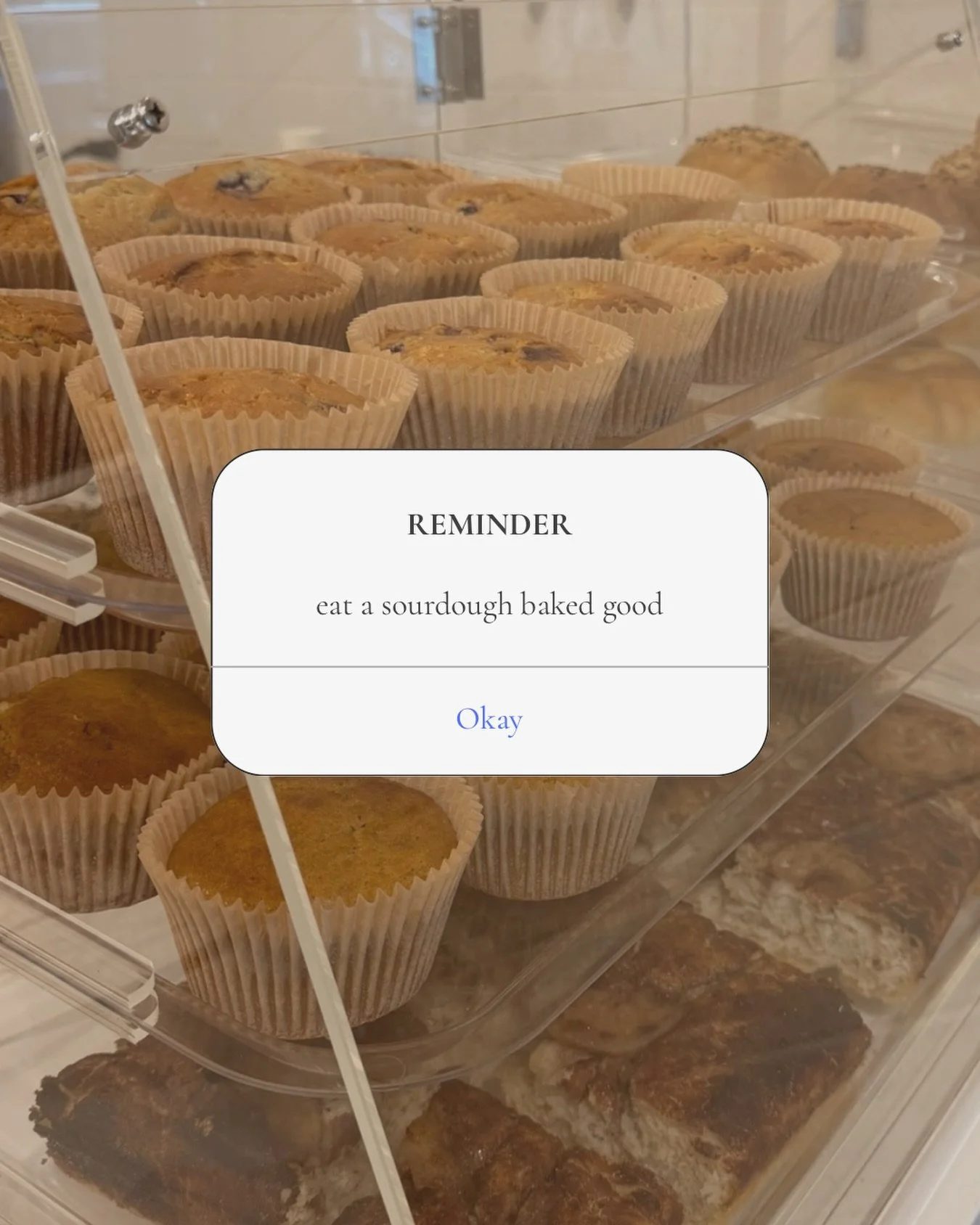Your phone said you have a reminder. We don&rsquo;t make the rules. 🤷&zwj;♀️

REMINDER: go get the sourdough baked good.

Freshly baked, made with care, and waiting in the case at Elijah&rsquo;s Flour &amp; Oil. Pair it with your favorite coffee or 