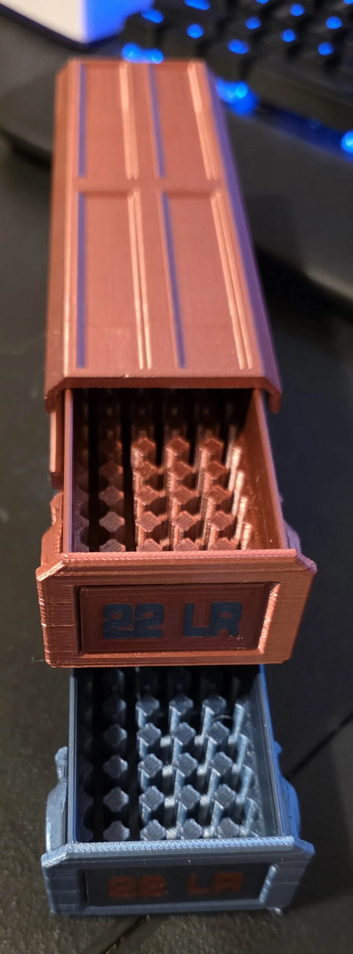 .22LR - 100 Round (x2)