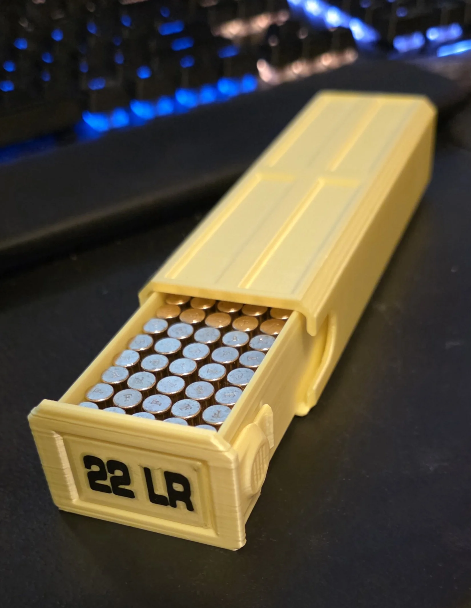 .22LR - 100 Round