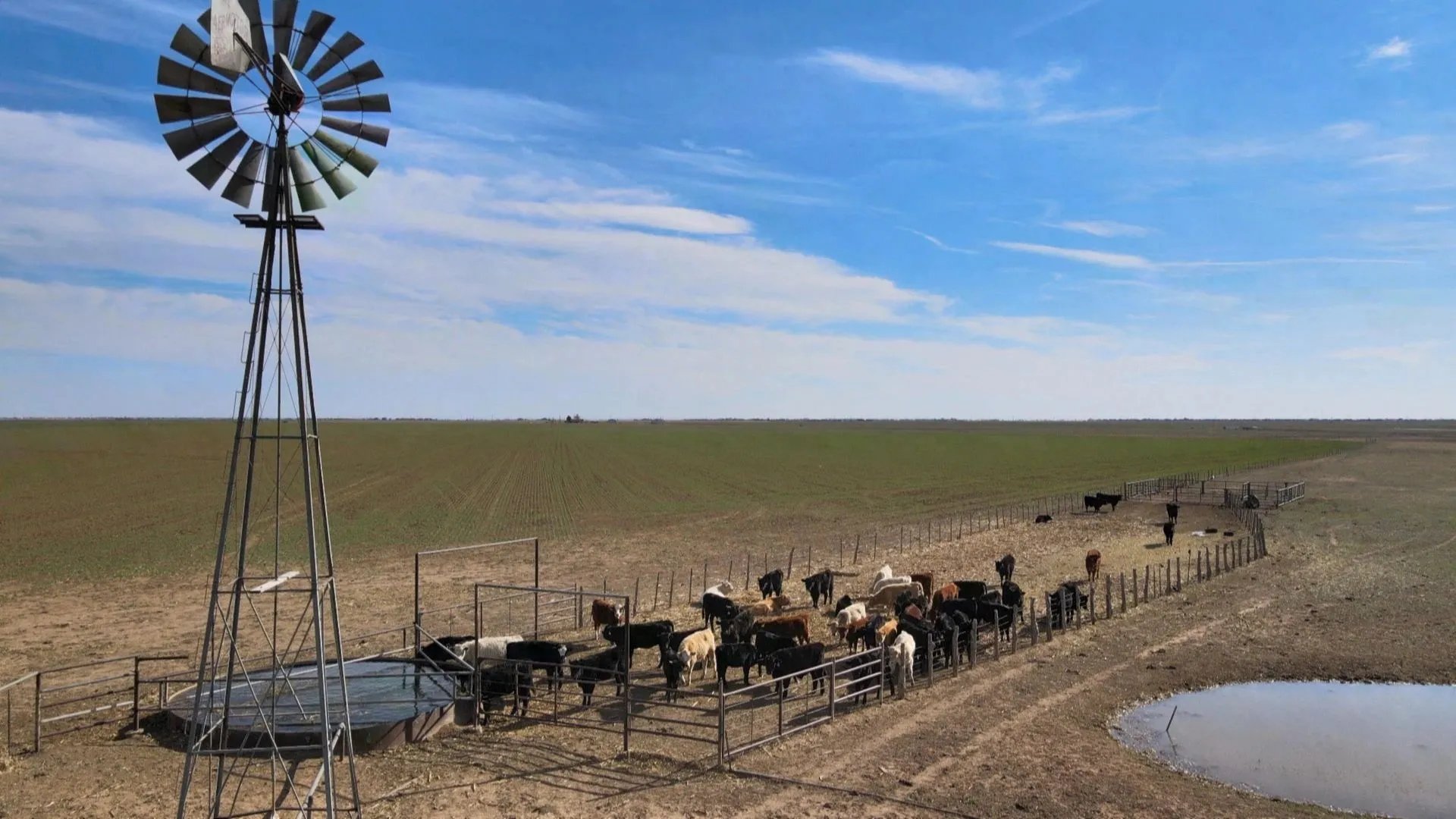 A rural farm scene with a windmill in the foreground, a fenced pasture with cows grazing, and open fields under a blue sky with scattered clouds.