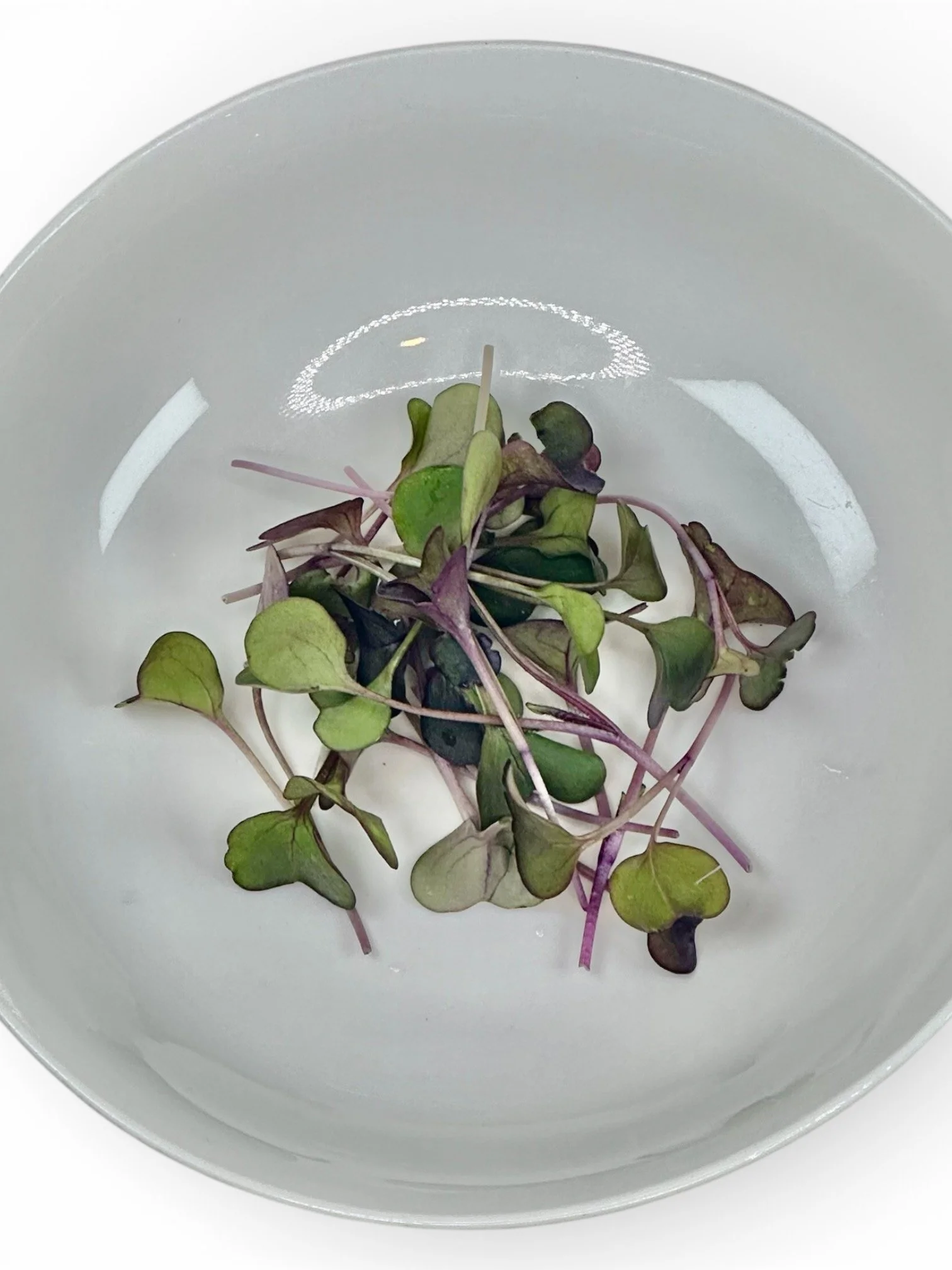 Radish in Bowl.jpeg