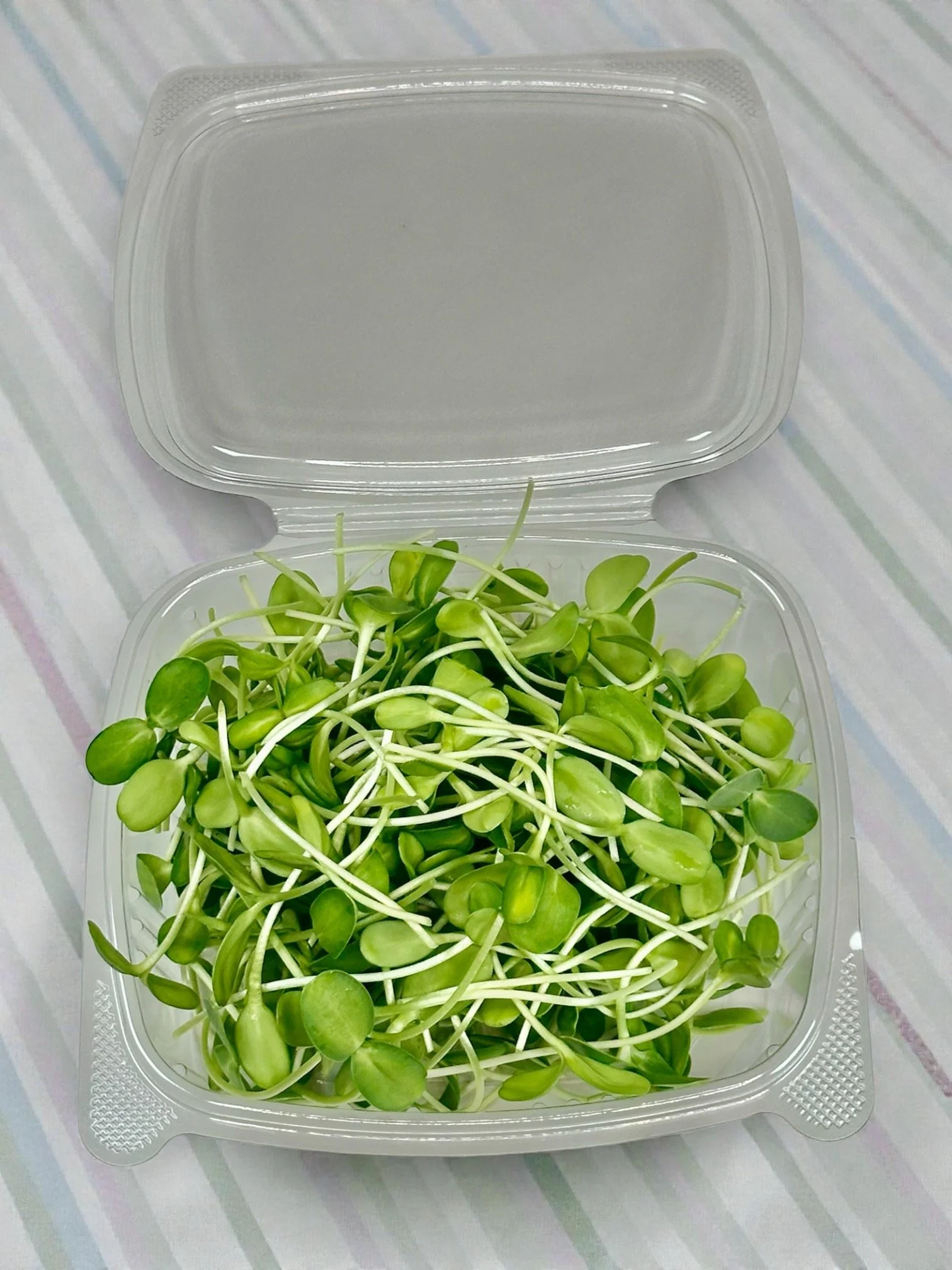 Sunflower lid Open.jpeg