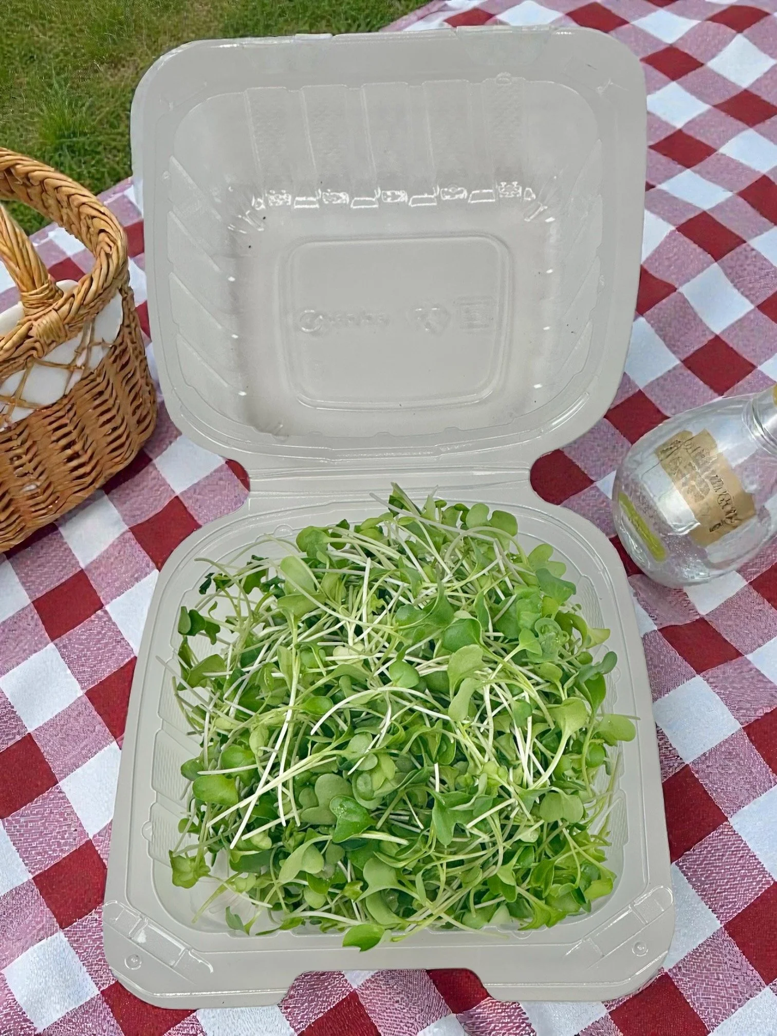 Broccoli Lid Open.jpeg