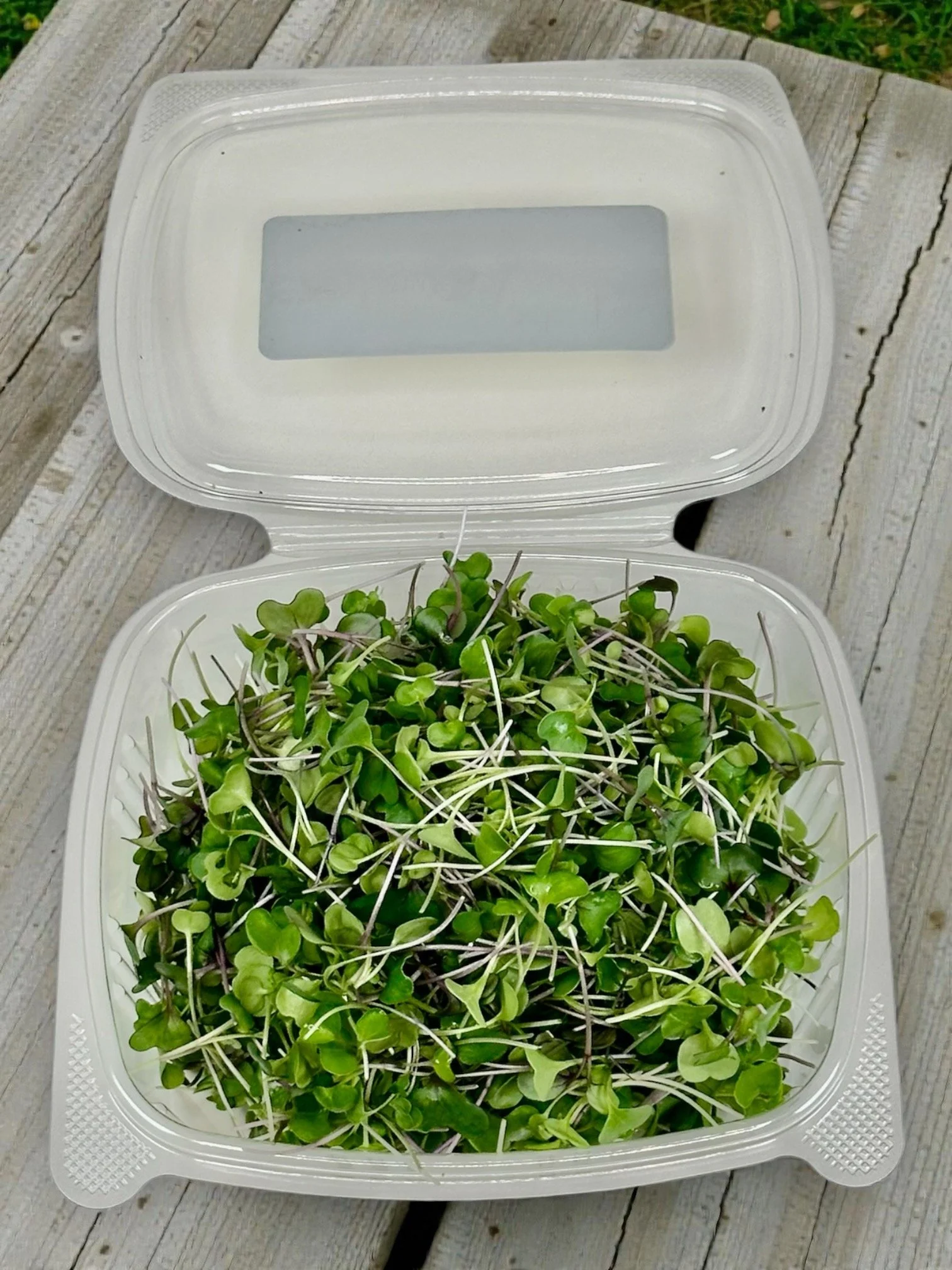 salad mix lid open.jpeg