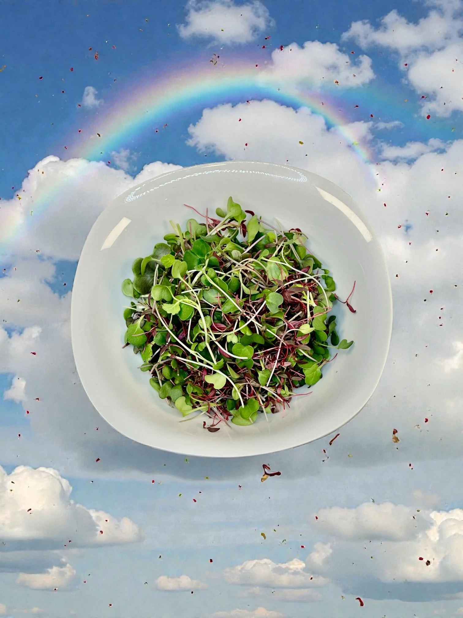 Rainbow Mix in Bowl.jpeg