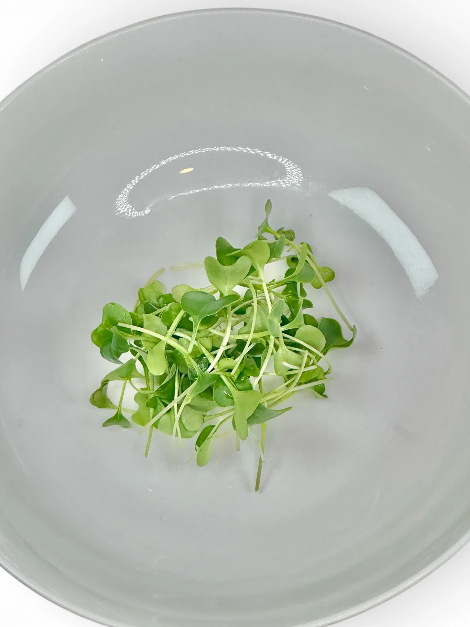 Broccoli in Bowl.jpeg