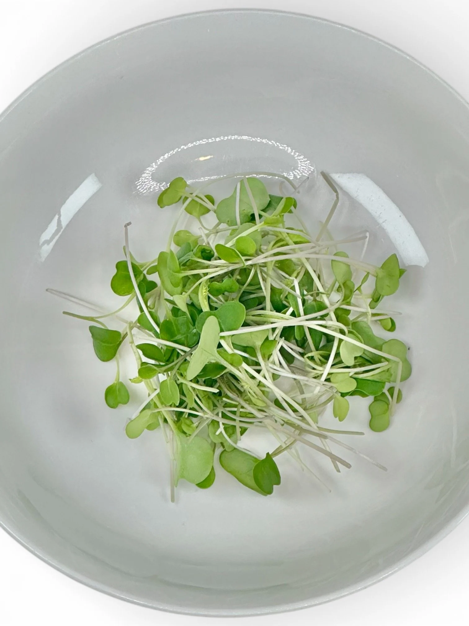 Kale in Bowl.jpeg
