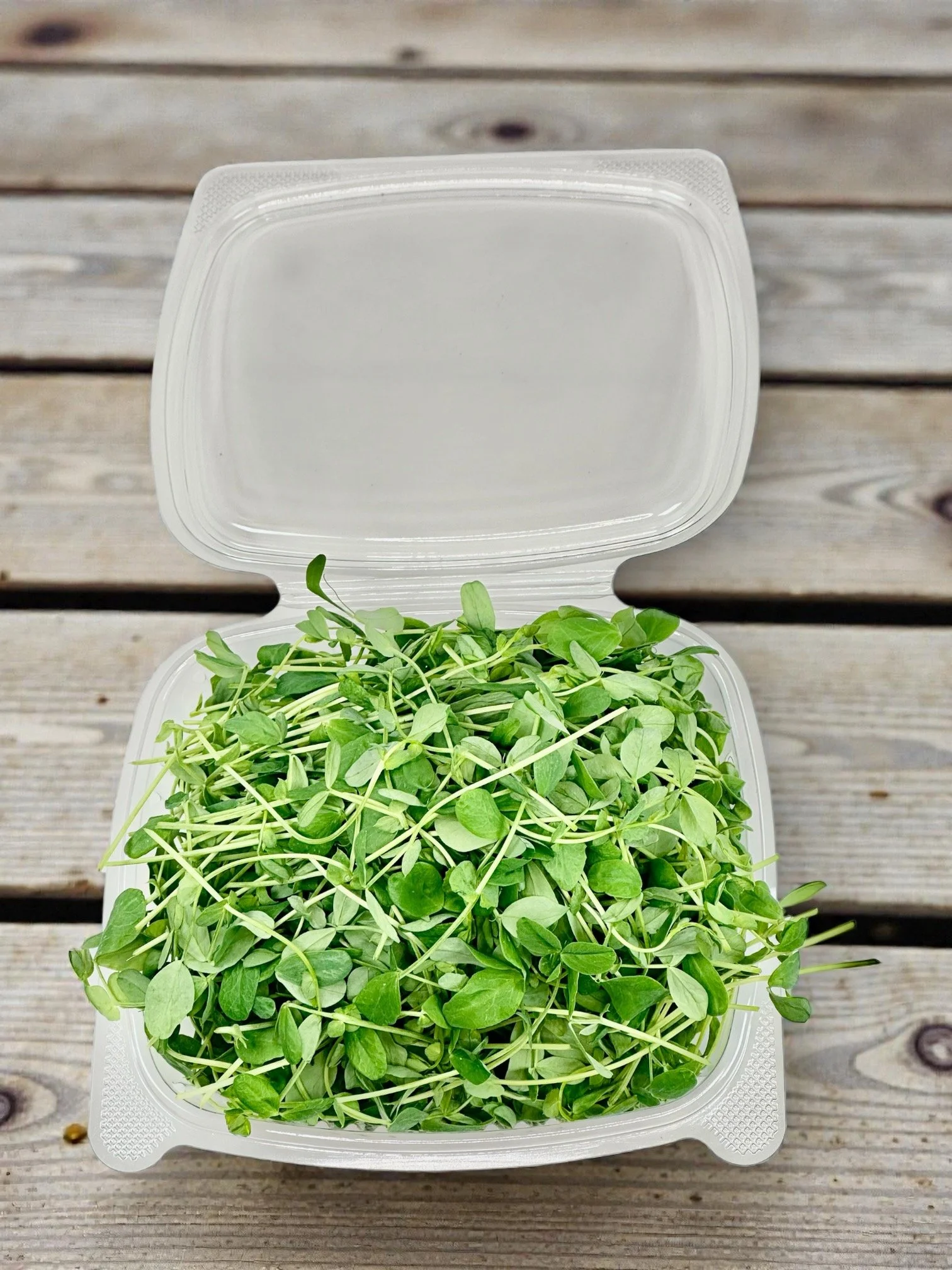 Pea Shoots lid Open.jpeg