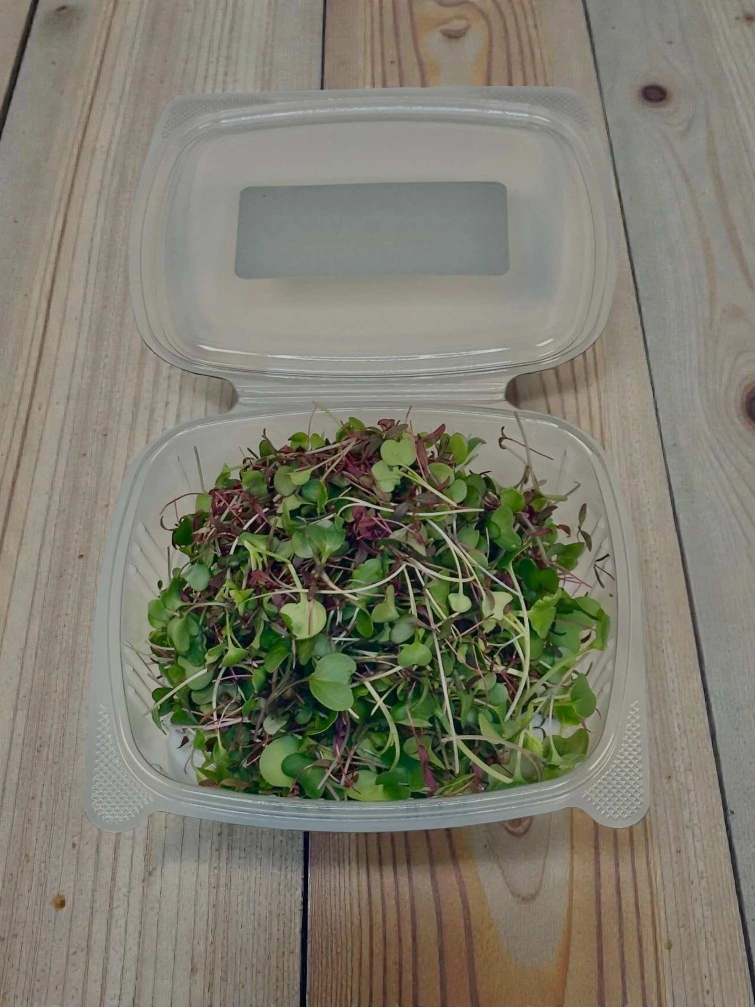Rainbow Mix lid Open.jpeg