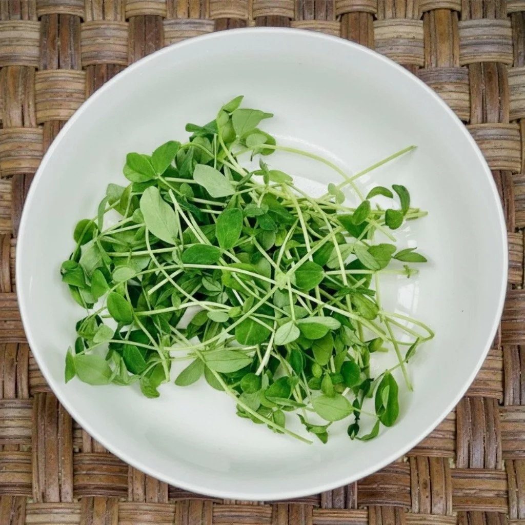 Pea Shoots in Bowl.jpeg