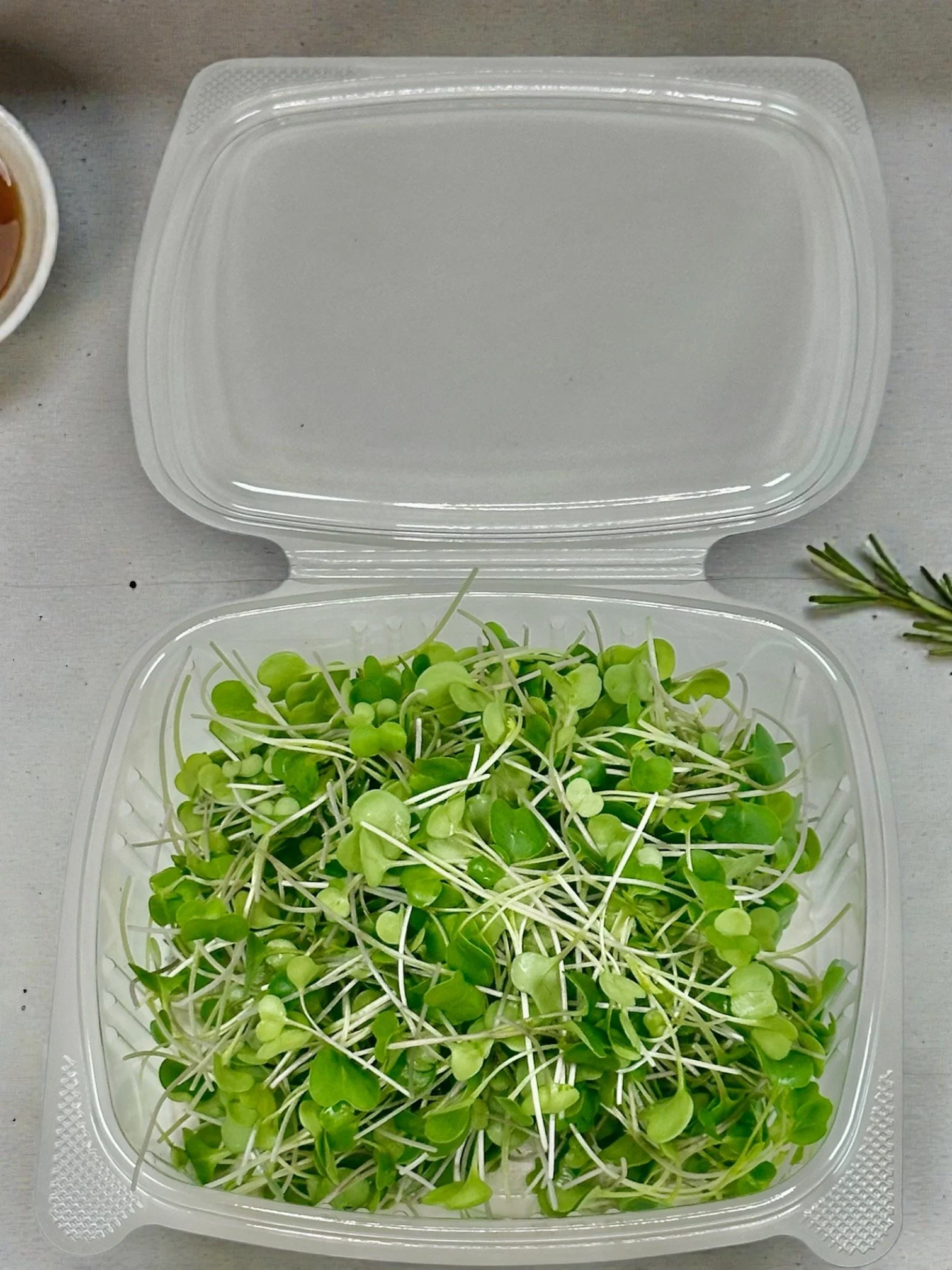 Kale Lid Open.jpeg