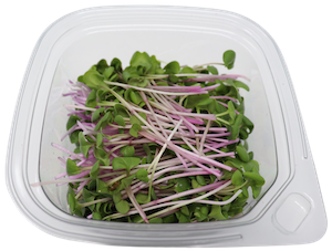 crunchy mix.png