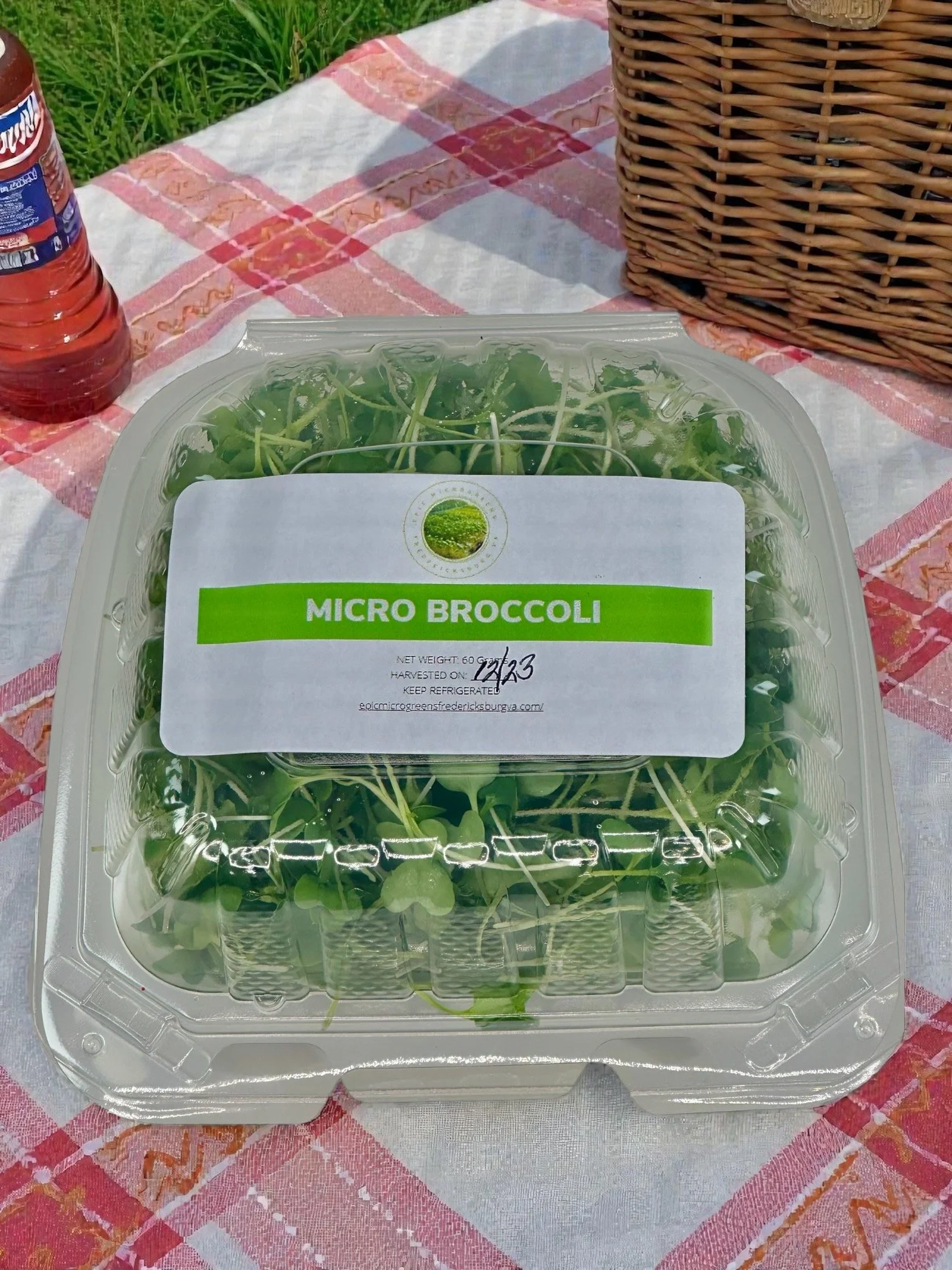 Micro Broccoli