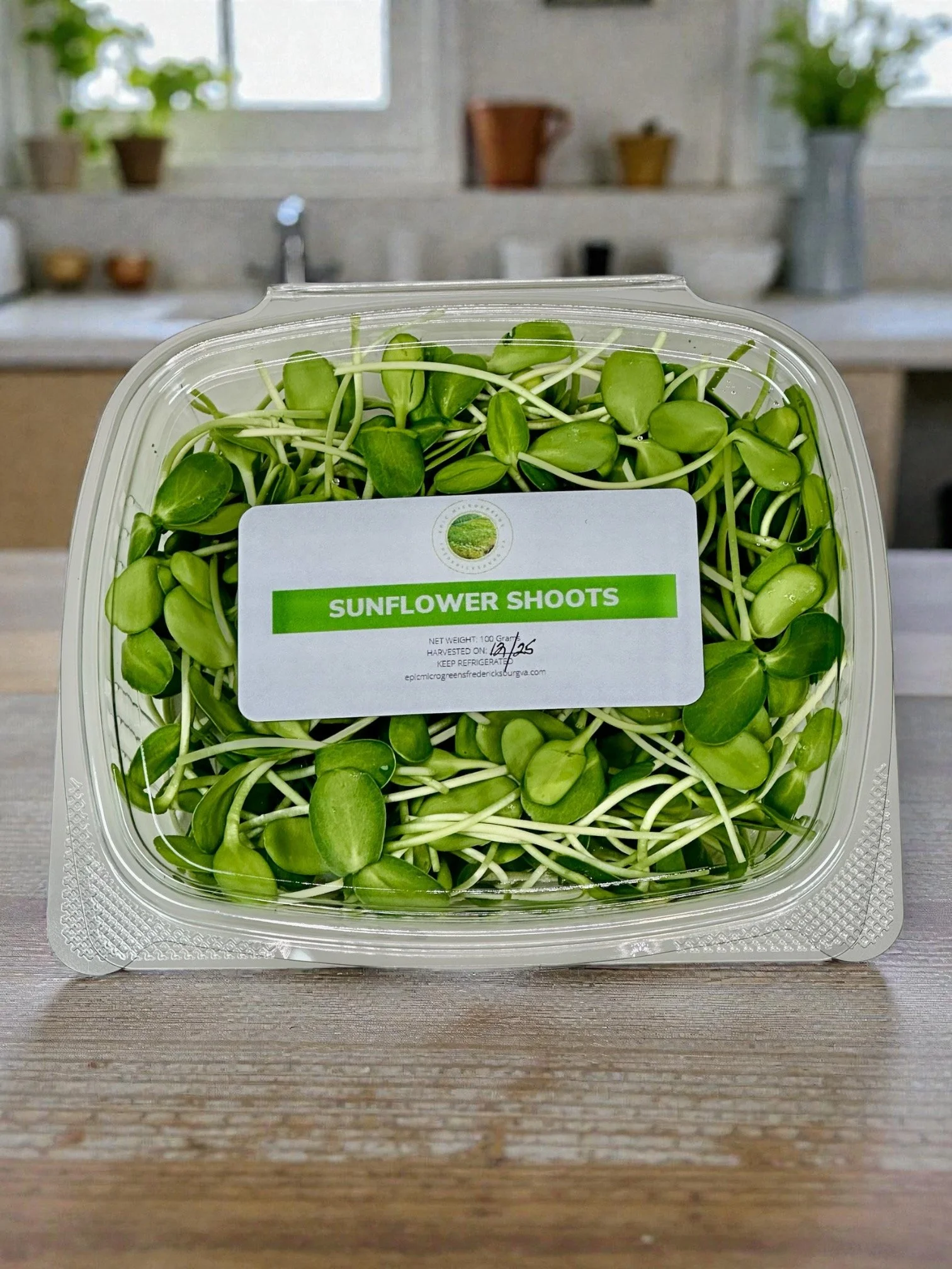 Sunflower Shoots
