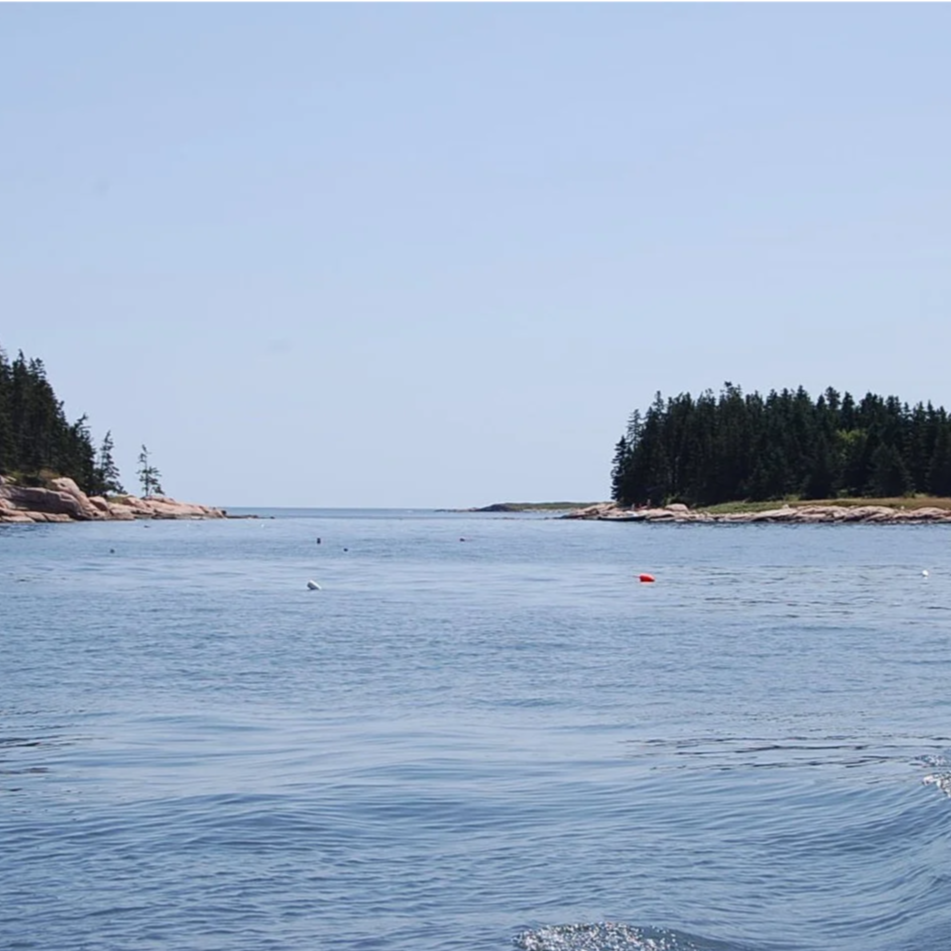DSC_0558.png