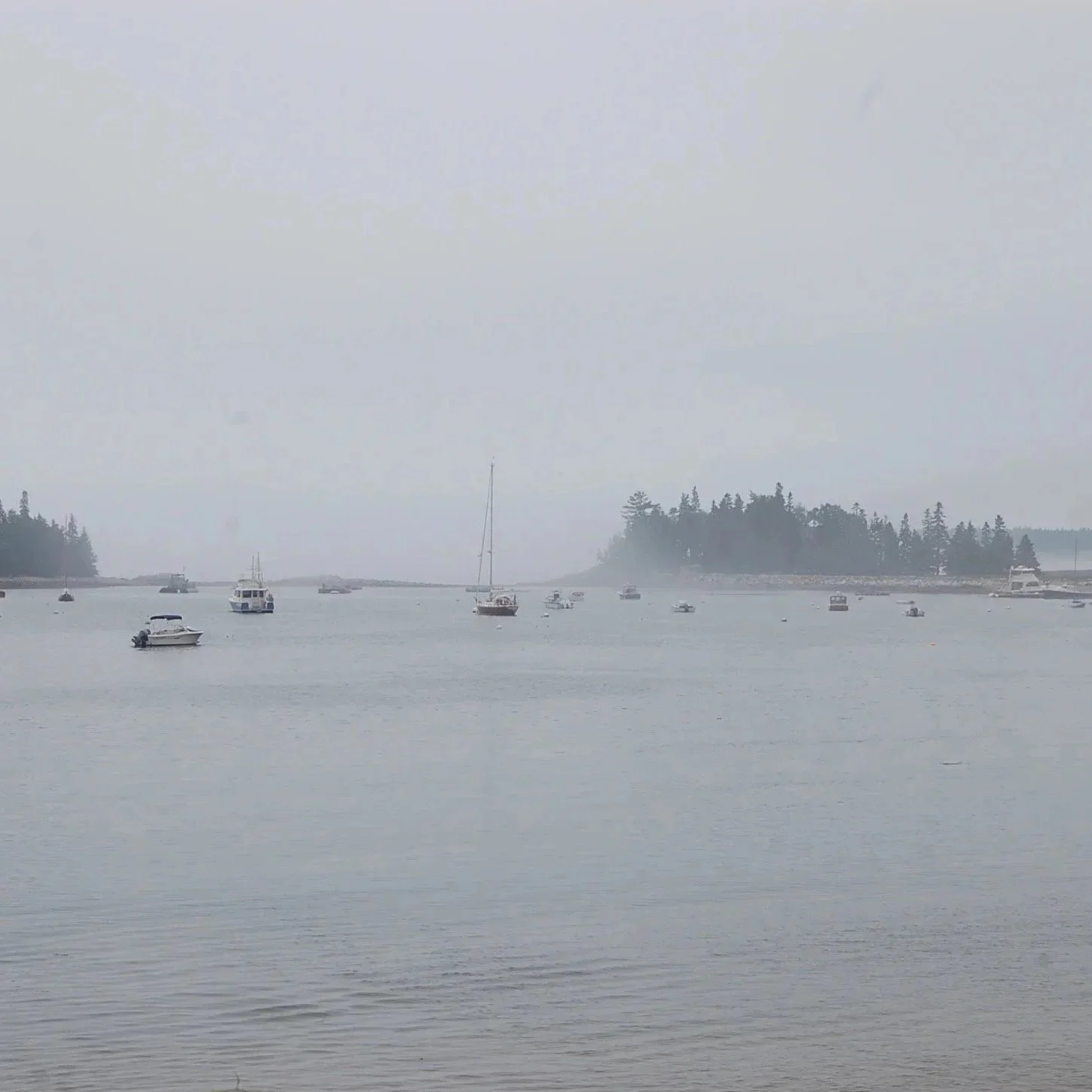 DSC_0073.jpg
