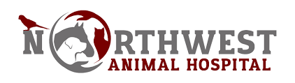 Logo of Northwest Animal Hospital with a red dog and gray cat inside a circle, and the hospital name in gray and red text