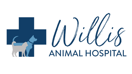 Logo for Willis Animal Hospital featuring a stylized dog silhouette with a medical cross in the background.