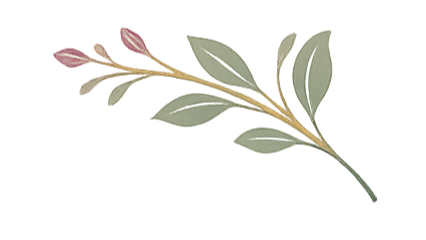 A sprig of a plant with green leaves and small pinkish flower buds.