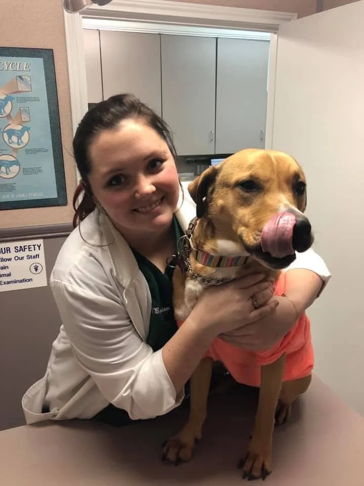 A woman a veterinarian or pet caregiver holding a dog on an examination table, licking its nose. The woman is smiling and wearing a white coat, and the dog is wearing a colorful collar and a pink shirt.