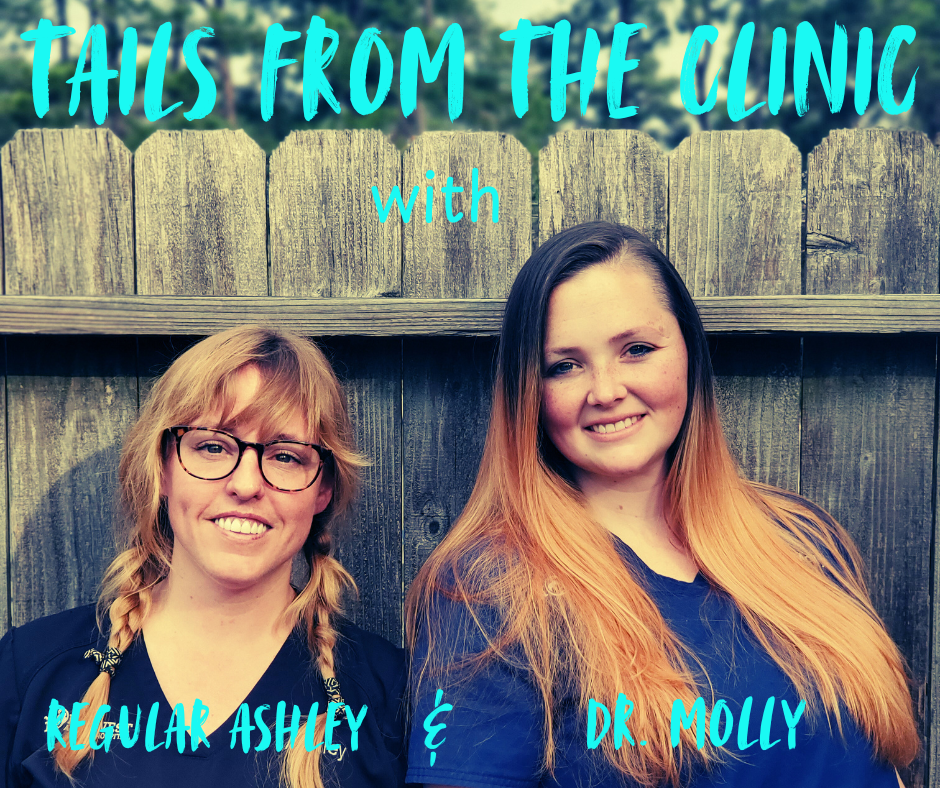 Two women standing outdoors in front of a wooden fence. The woman on the left has blonde hair, glasses, and is smiling. The woman on the right has long, reddish hair and is also smiling. There is text at the top and bottom of the image.