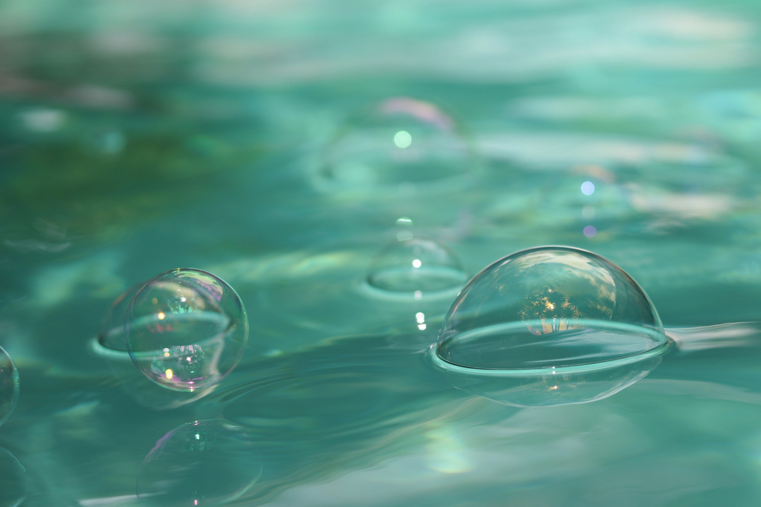 Close-up of bubbles on water surface reflecting palm trees and sky.