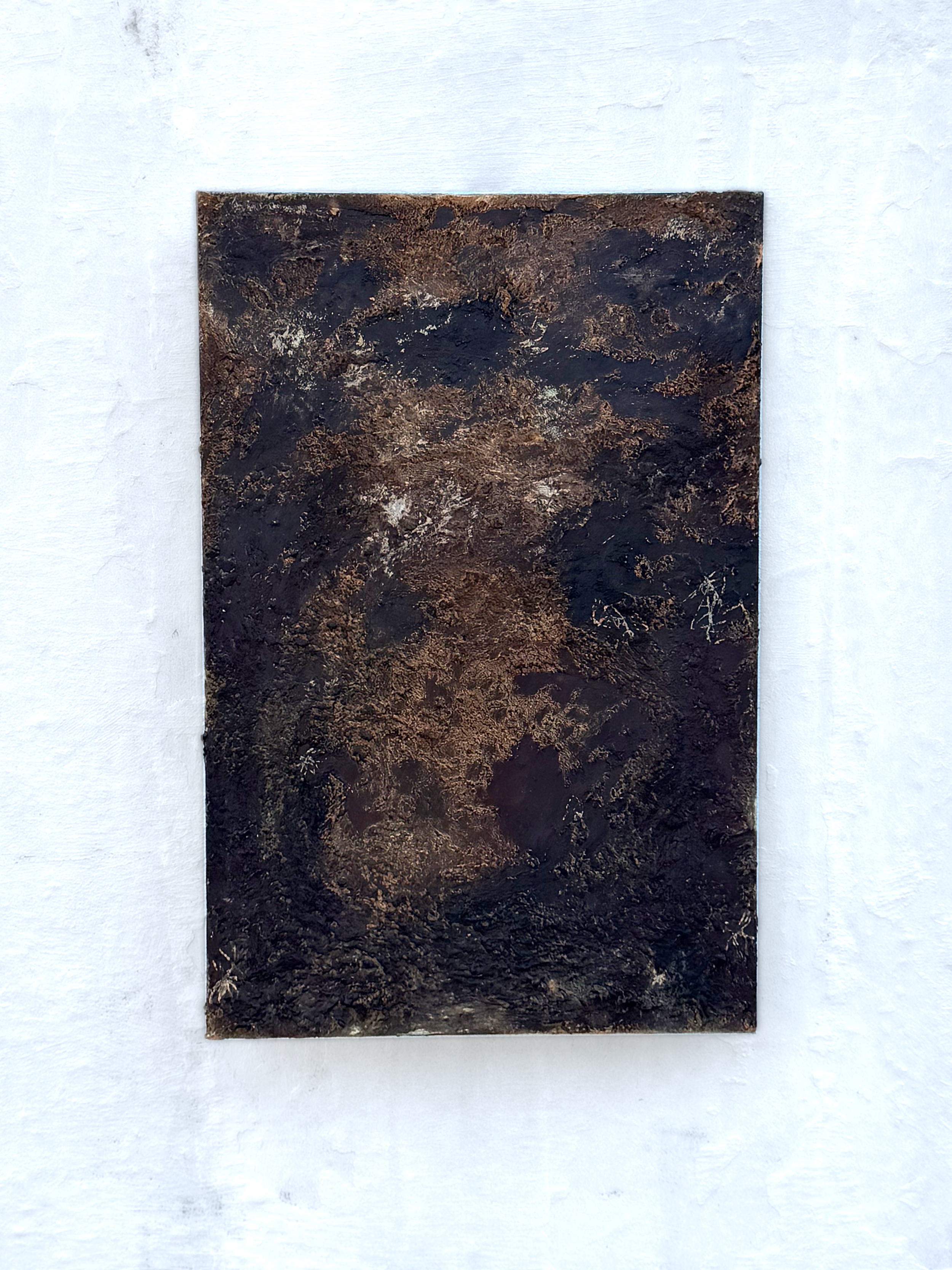 After the Burn, the Ground Holds - 20in x 30in