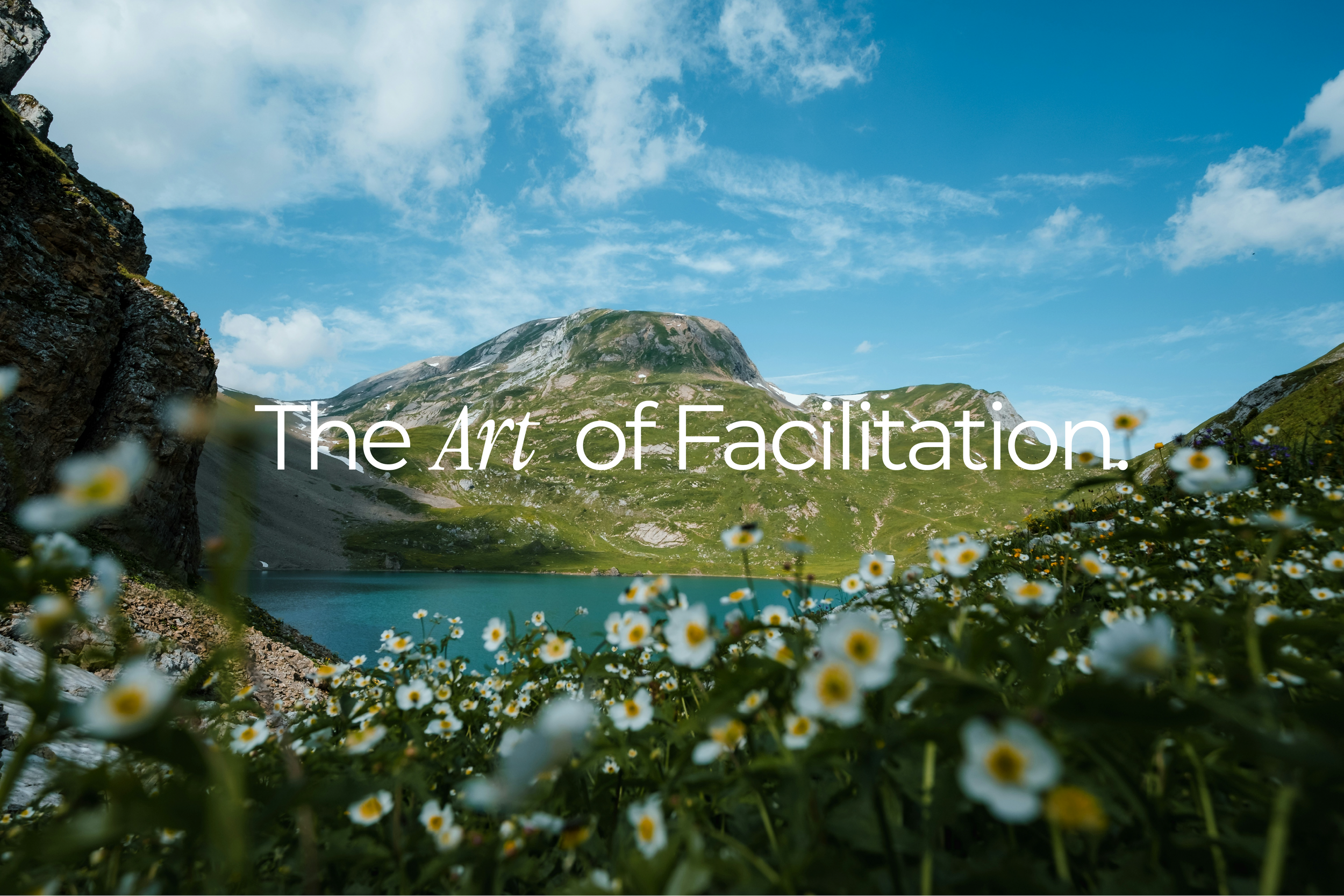 Early Bird - The Art of Facilitation 21-22 October 2026